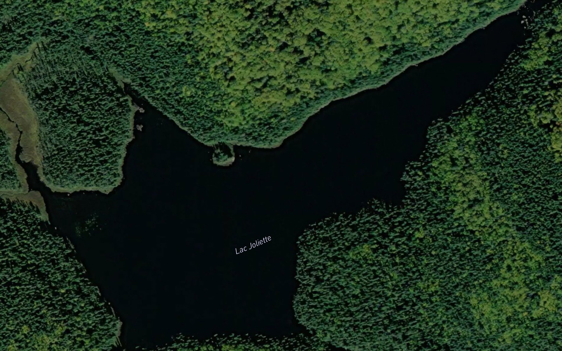 Satellite map of the Lac Joliette