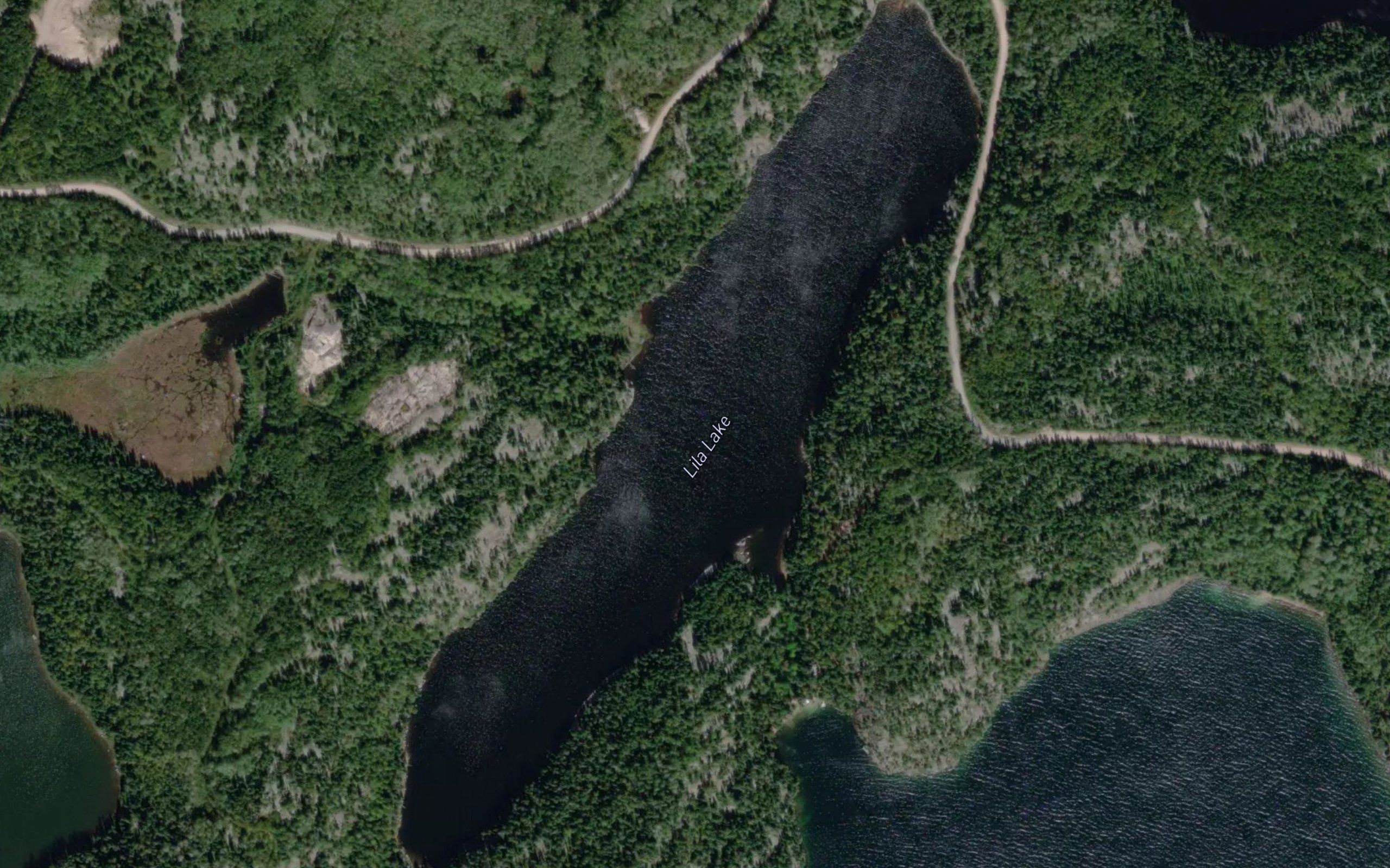 Lila Lake