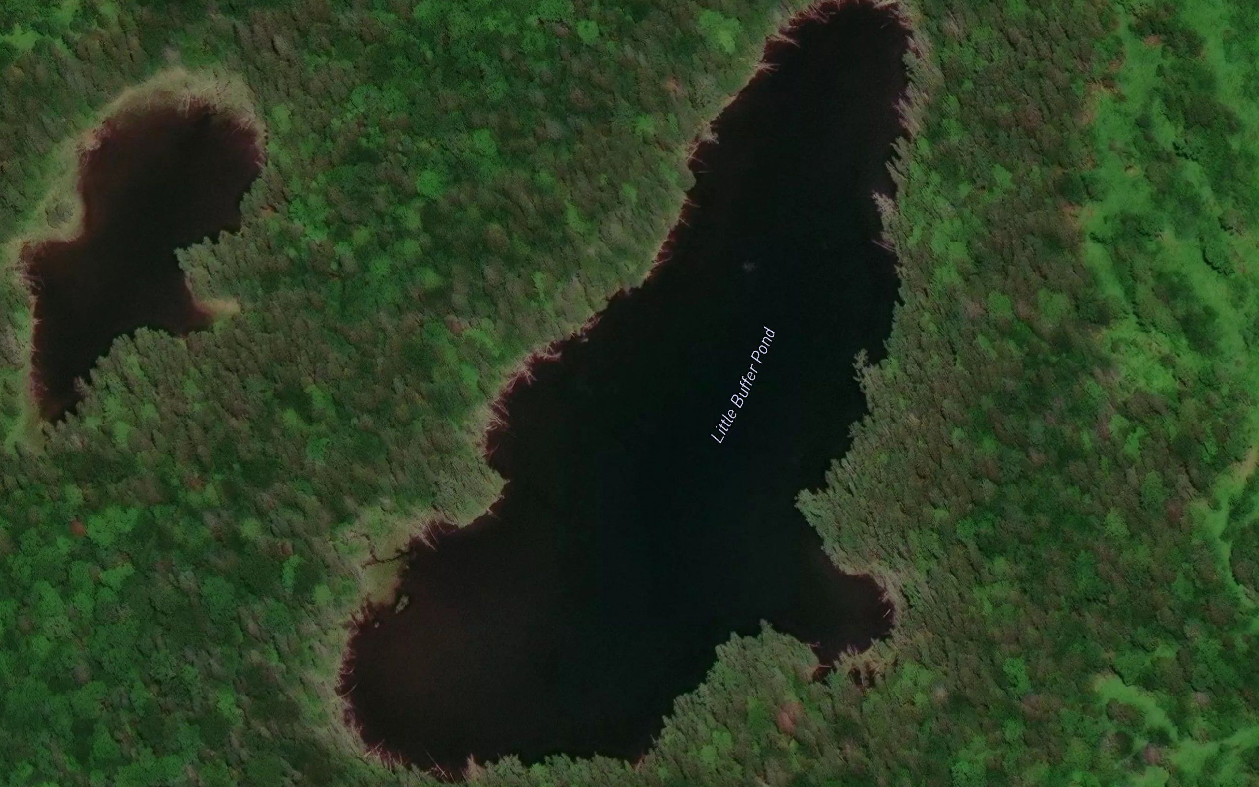 Little Bluffer Pond
