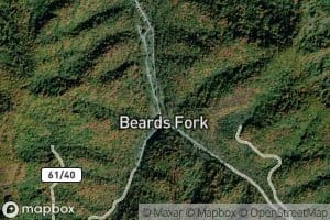 Right Fork Beards Fork