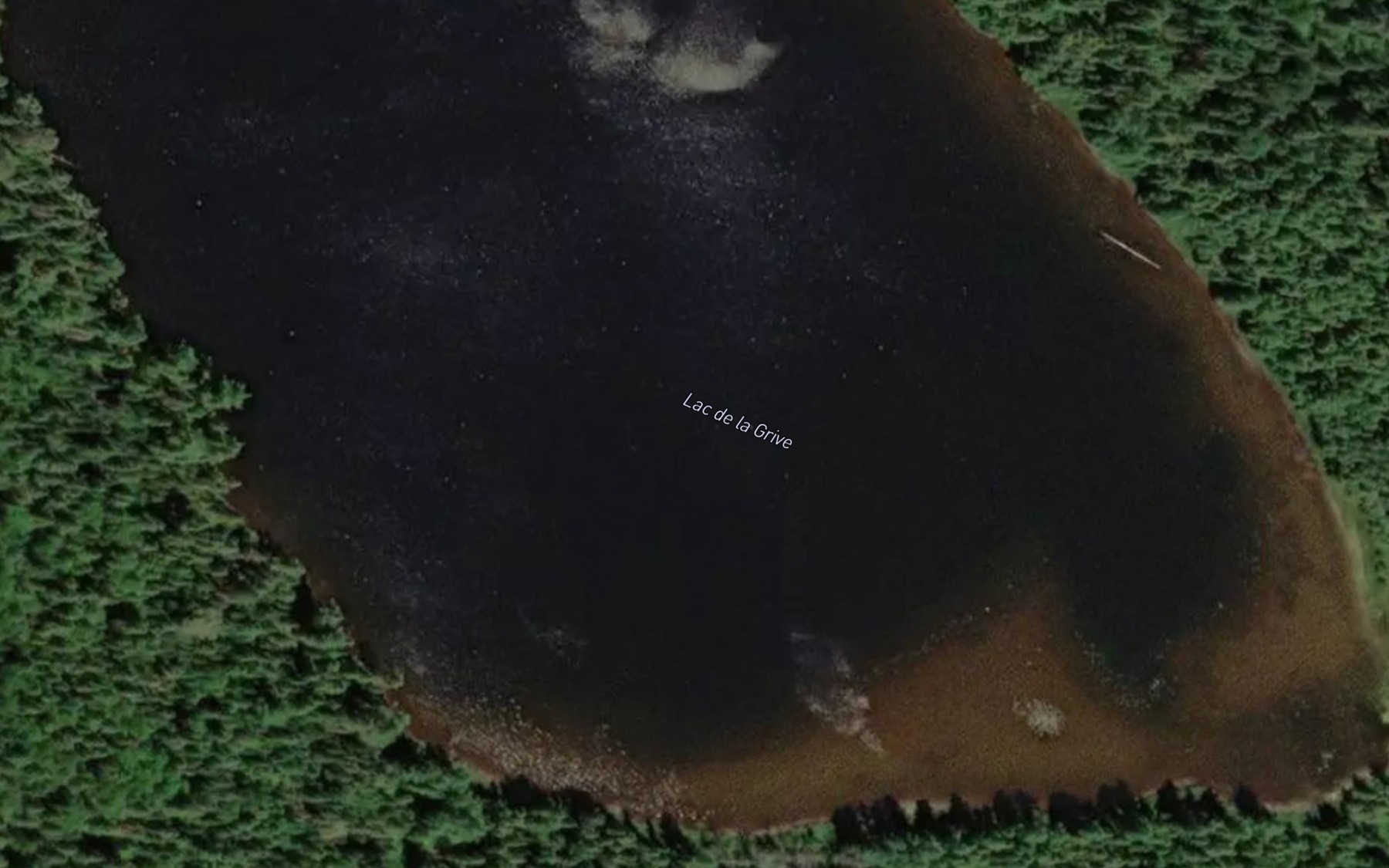 Satellite map of the Lac de la Grive