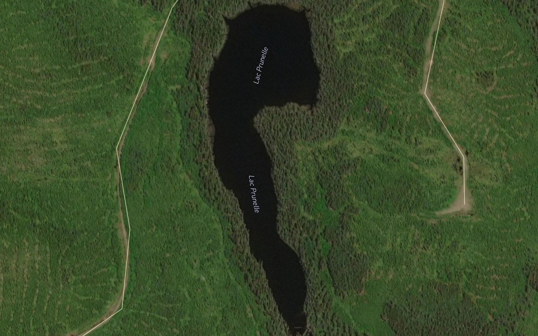 Satellite map of the Lac Prunelle