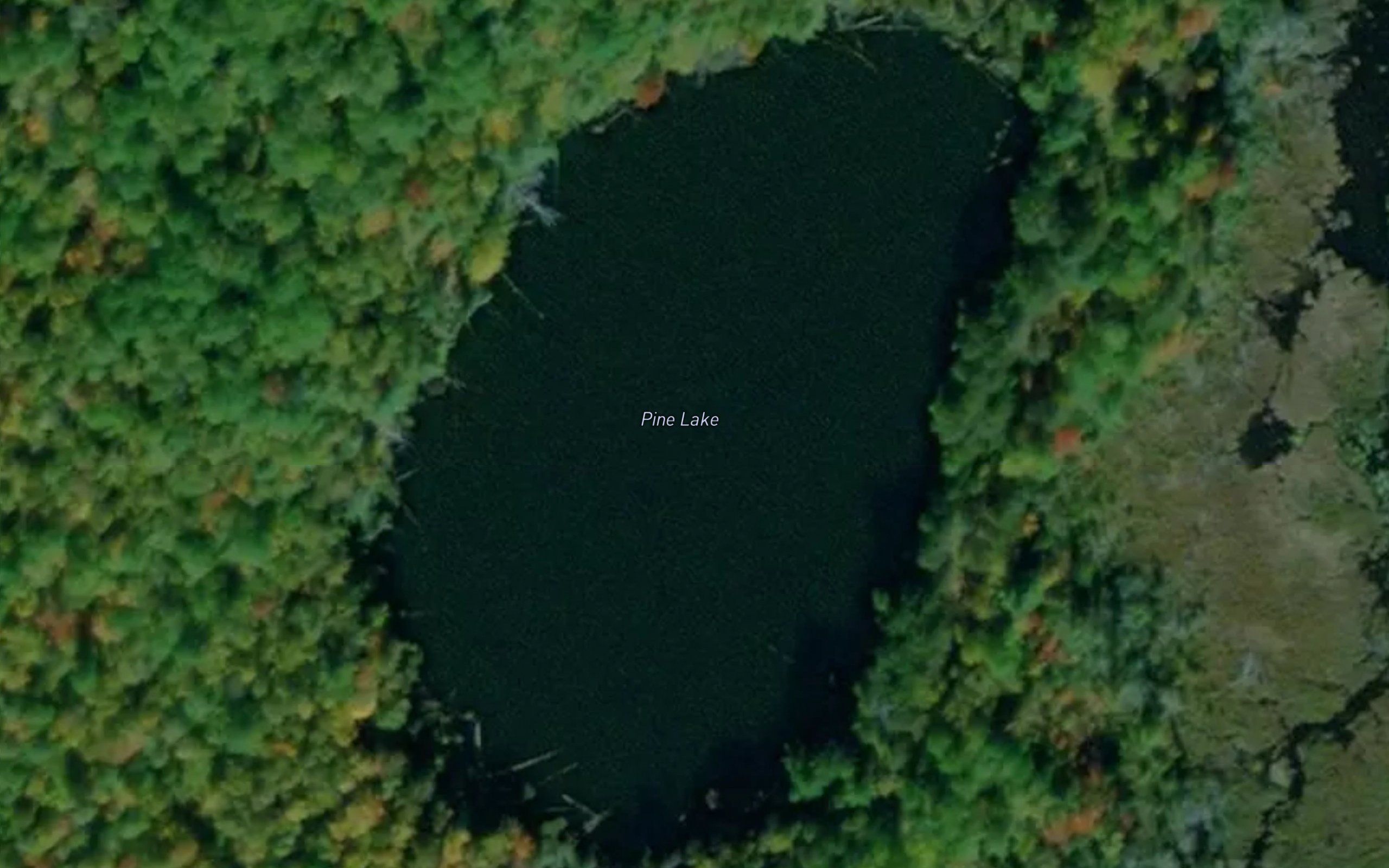 Pine Lake