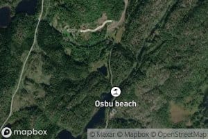 Olsbutjern