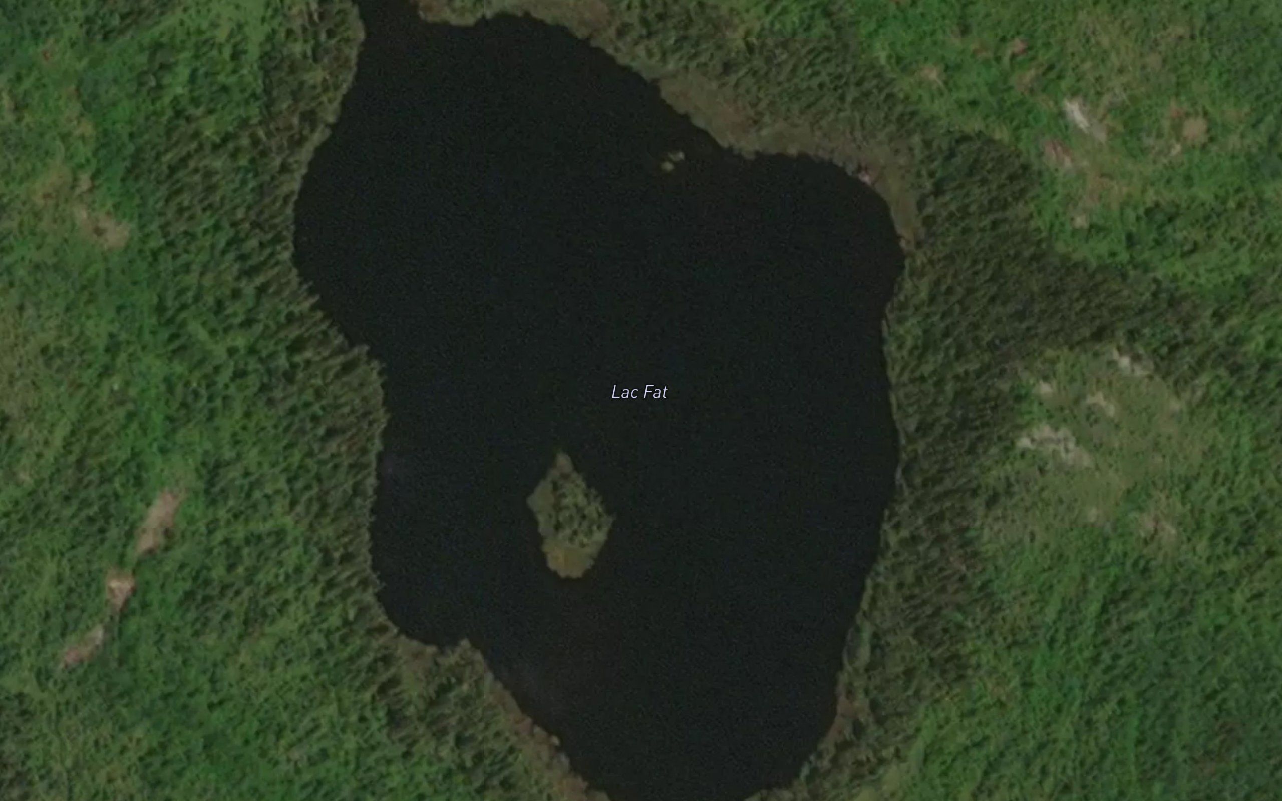 Lac Fat