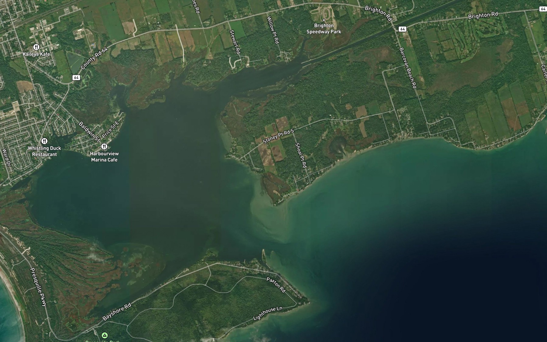 Satellite map of the Salt Reef