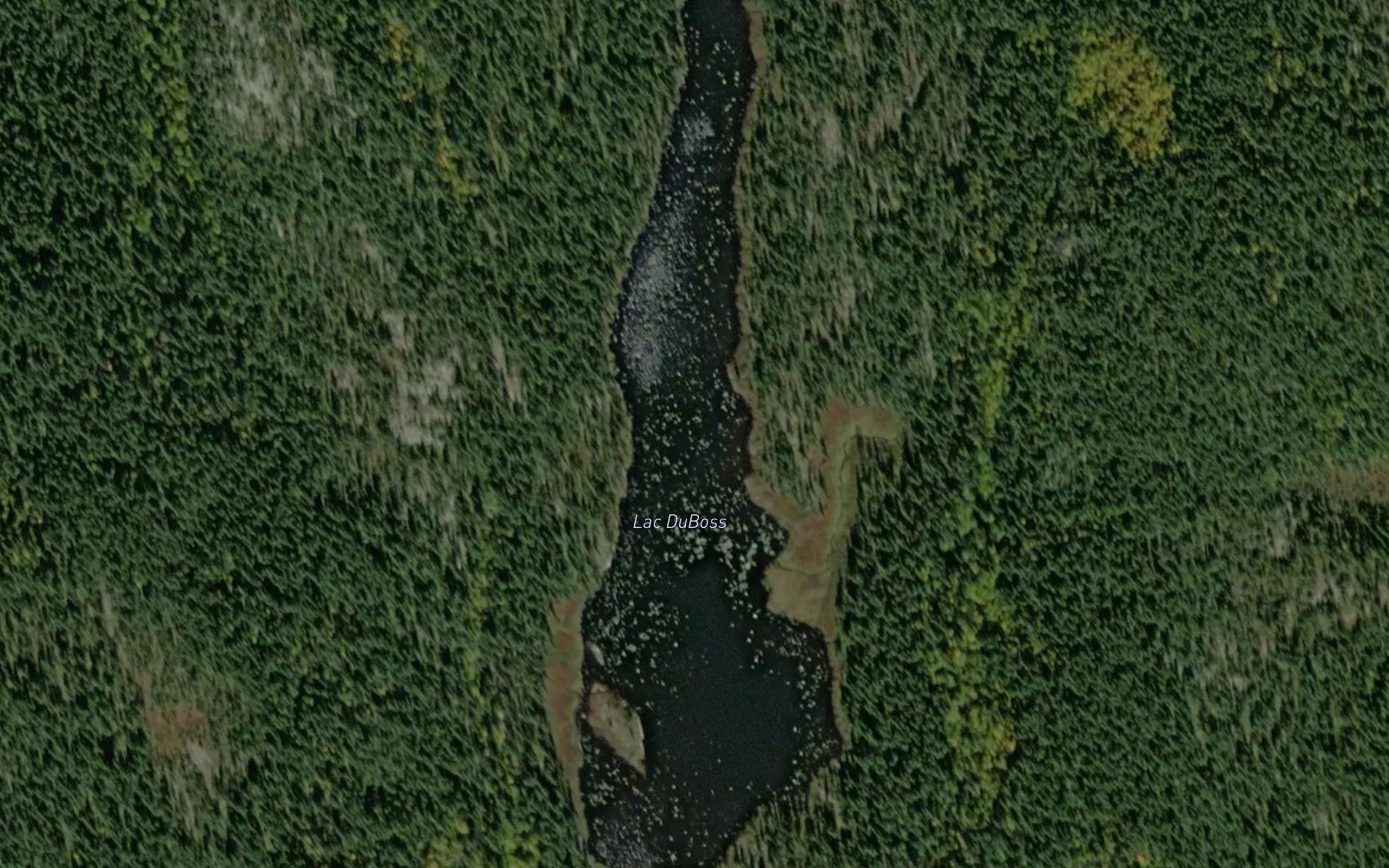 Lac du Boss