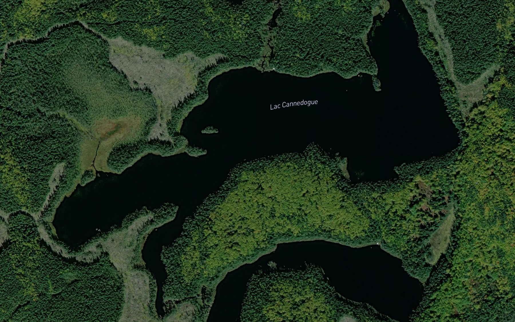 Satellite map of the Lac Cannedogue