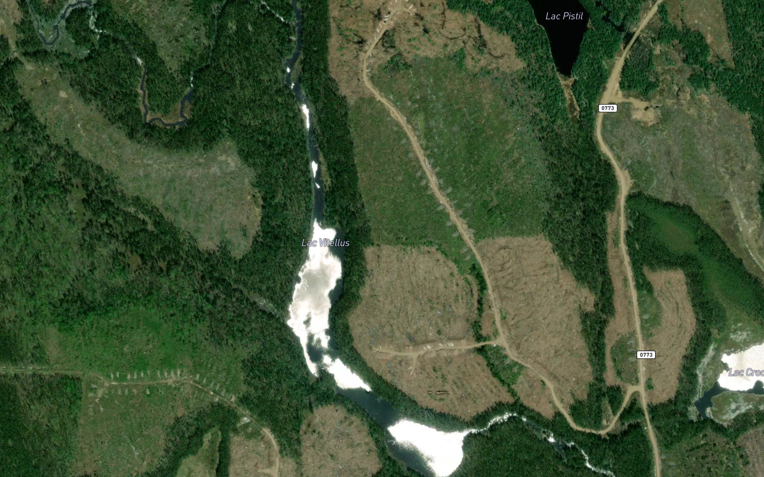 Lac Vitellus