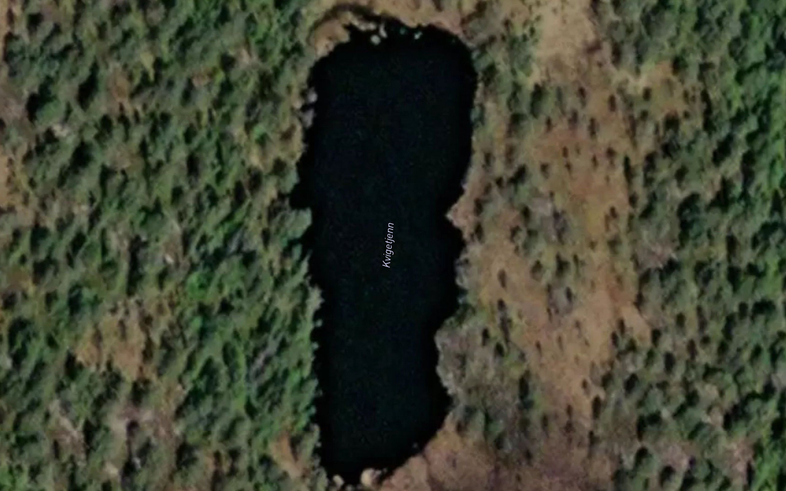 Kvigetjern