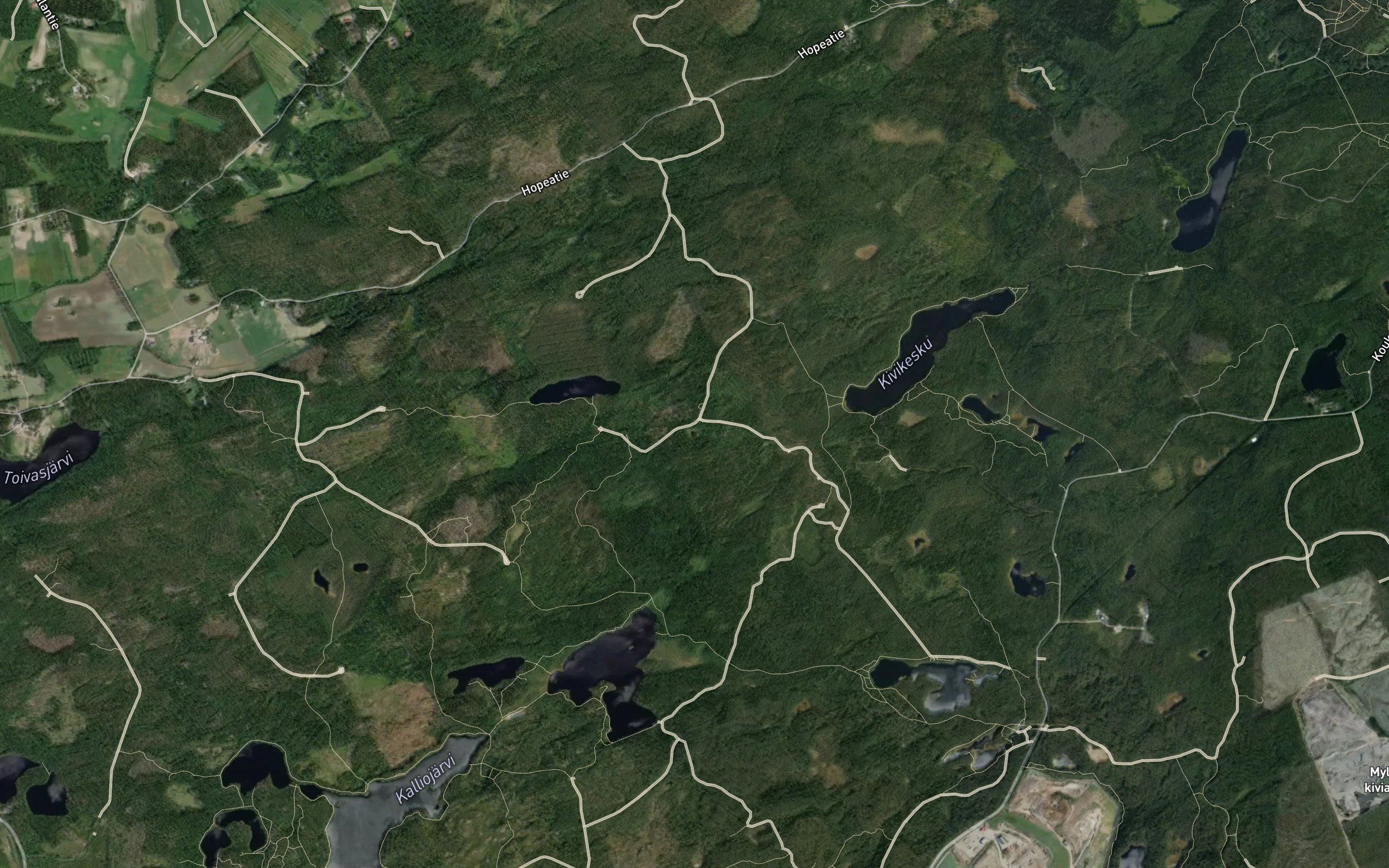 Nuijalammi