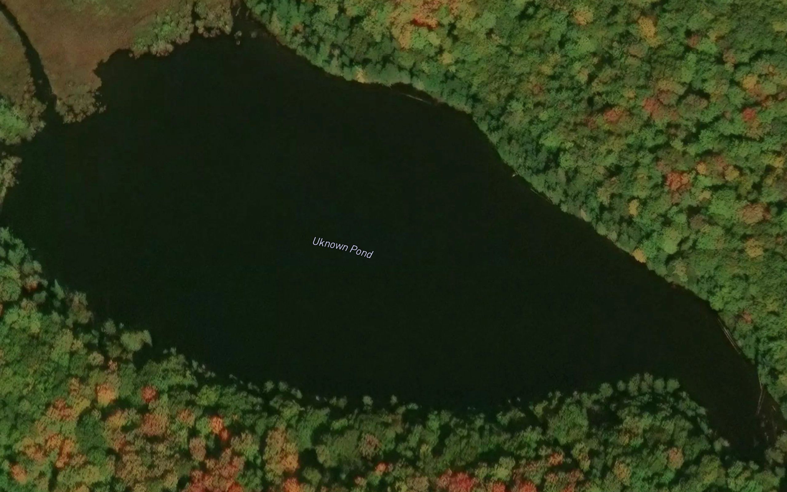Unknown Pond