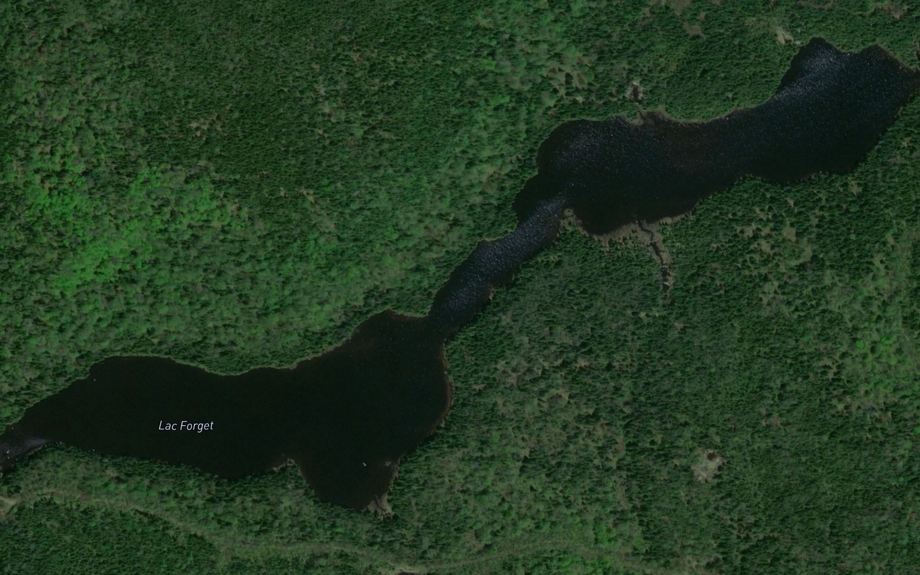 Satellite map of the Lac Forget