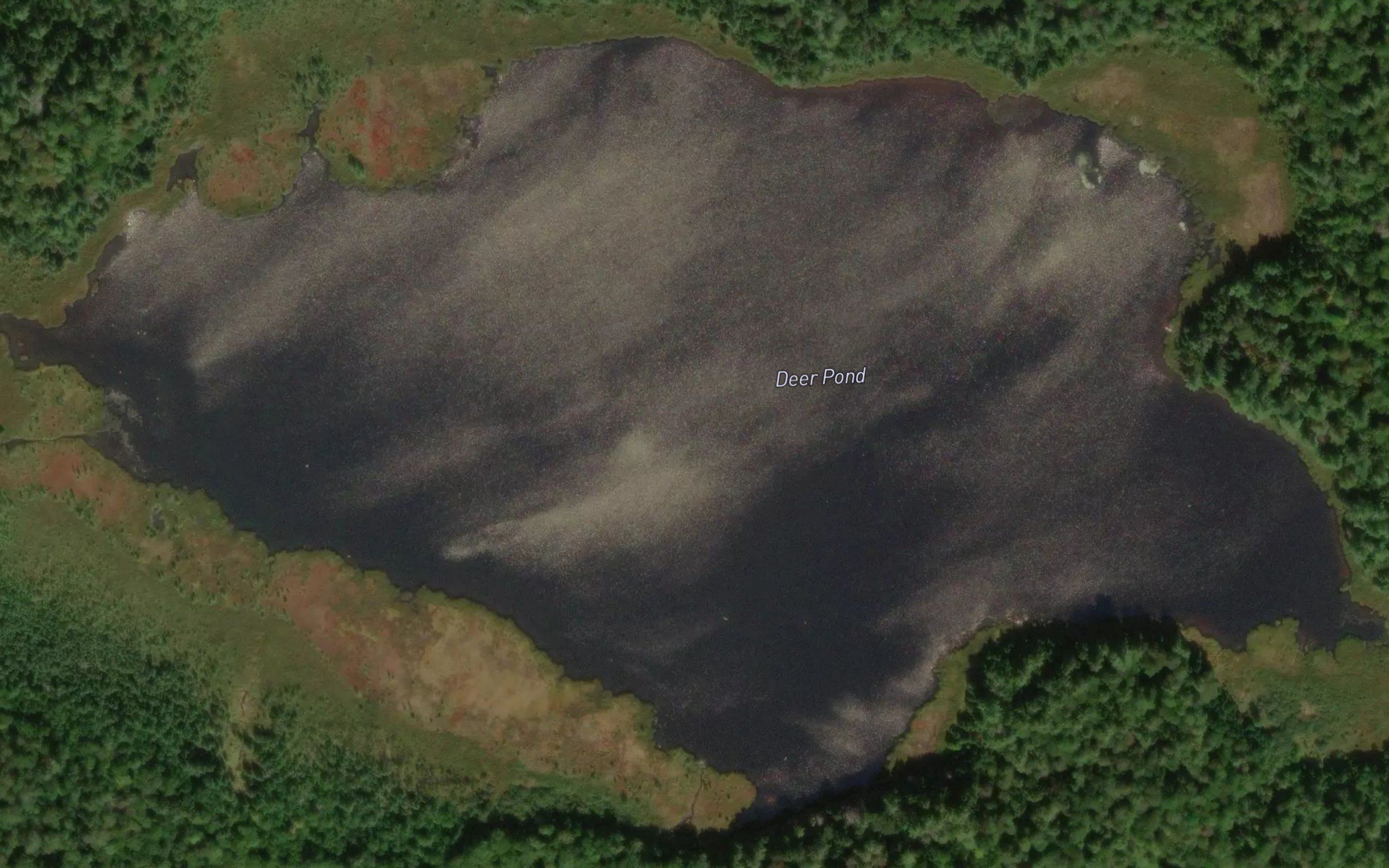 Deer Pond