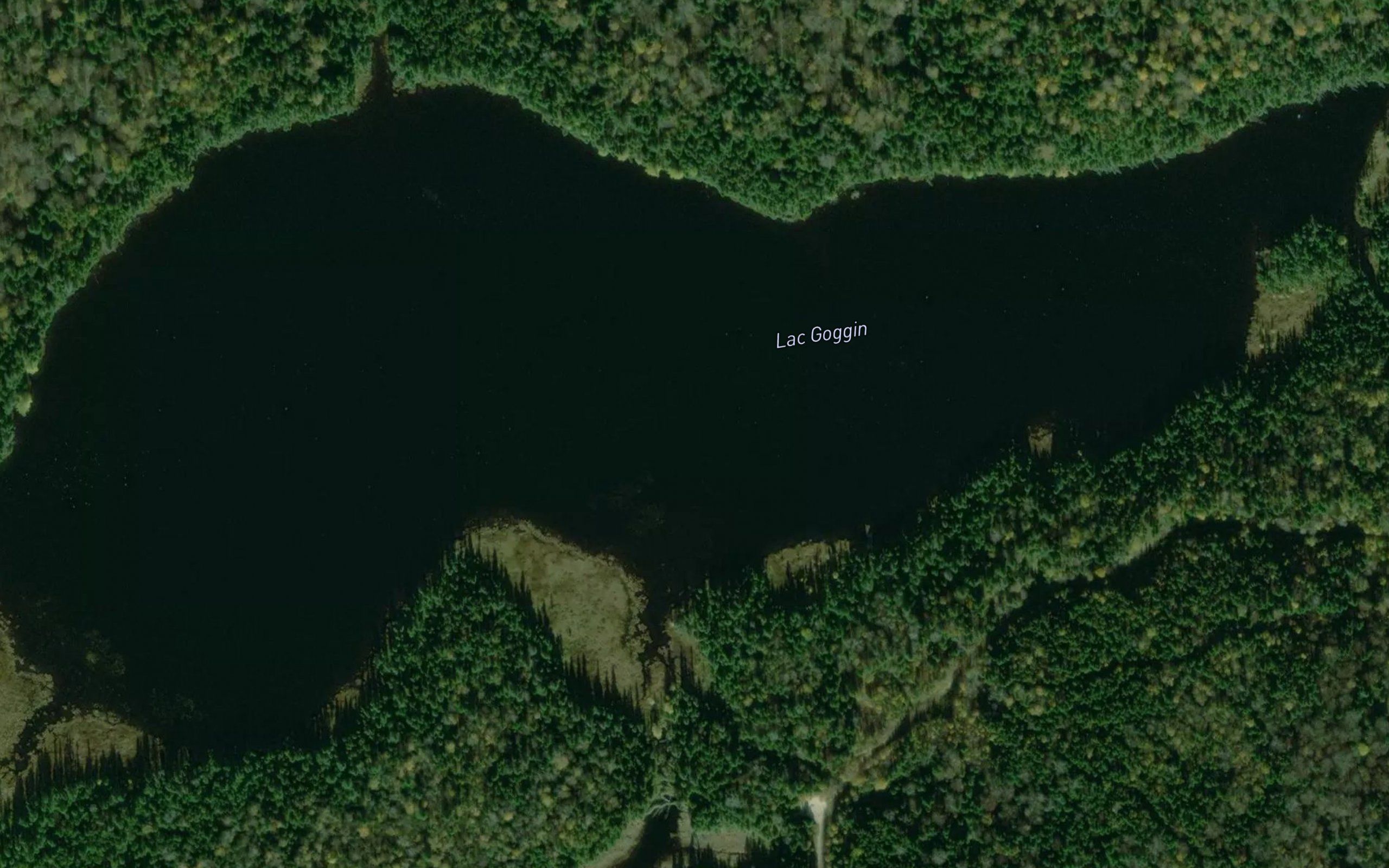Lac Goggin