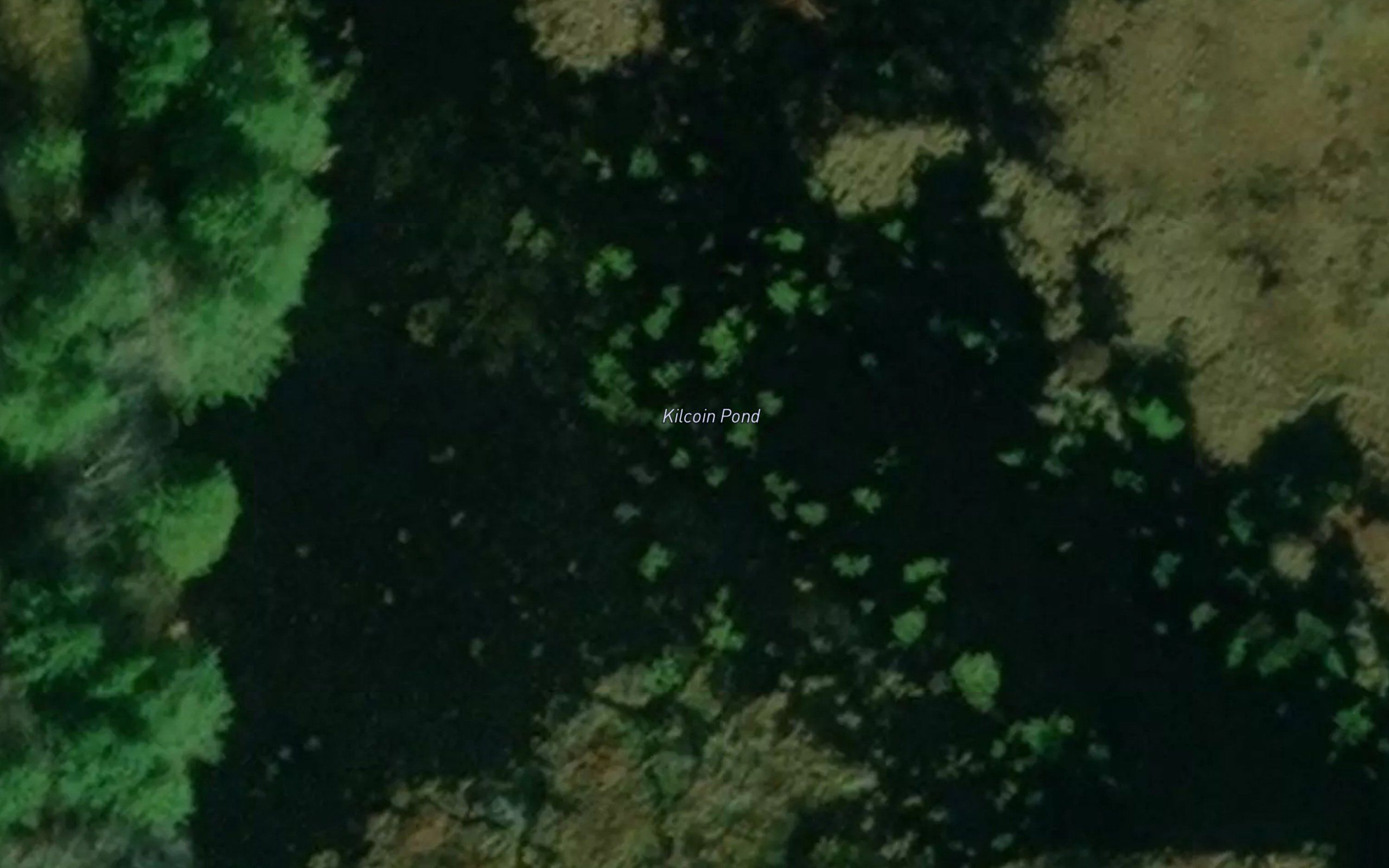 Kilcoin Pond