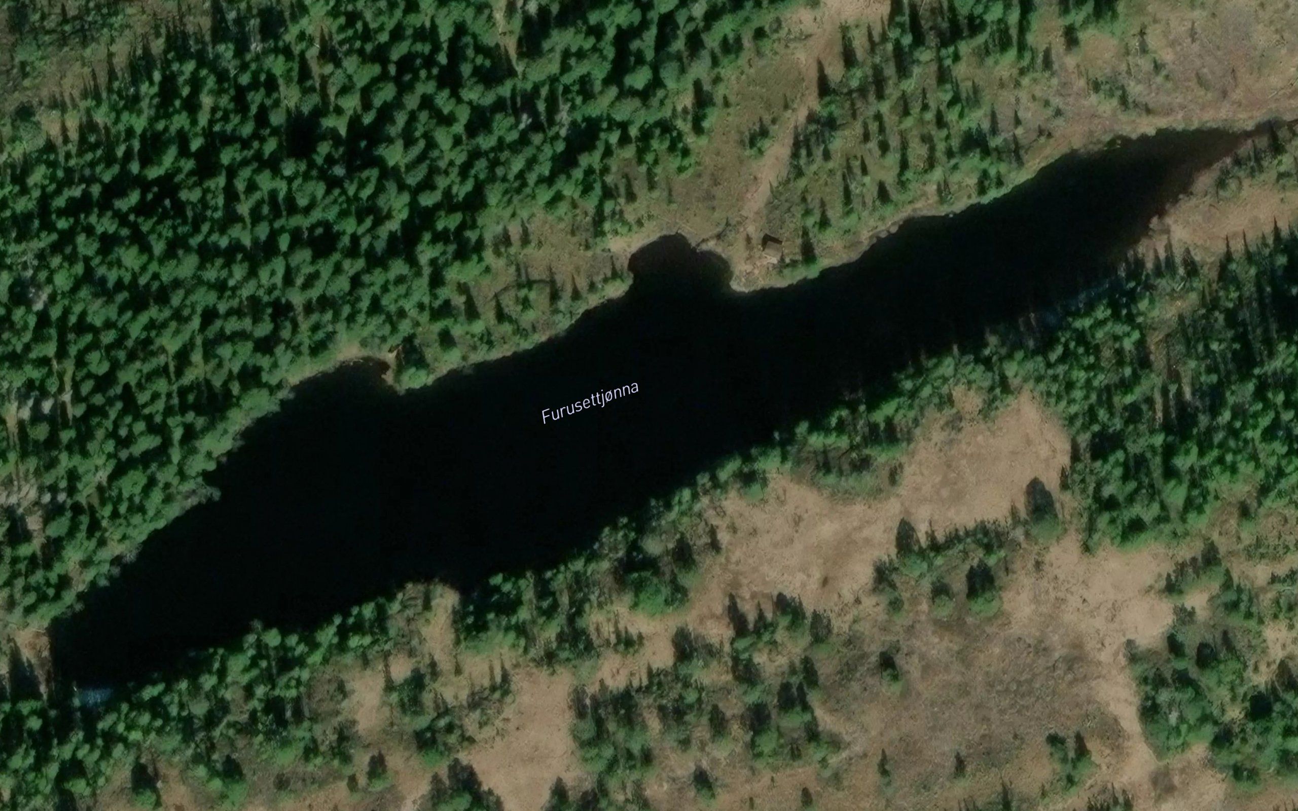 Furusettjorna