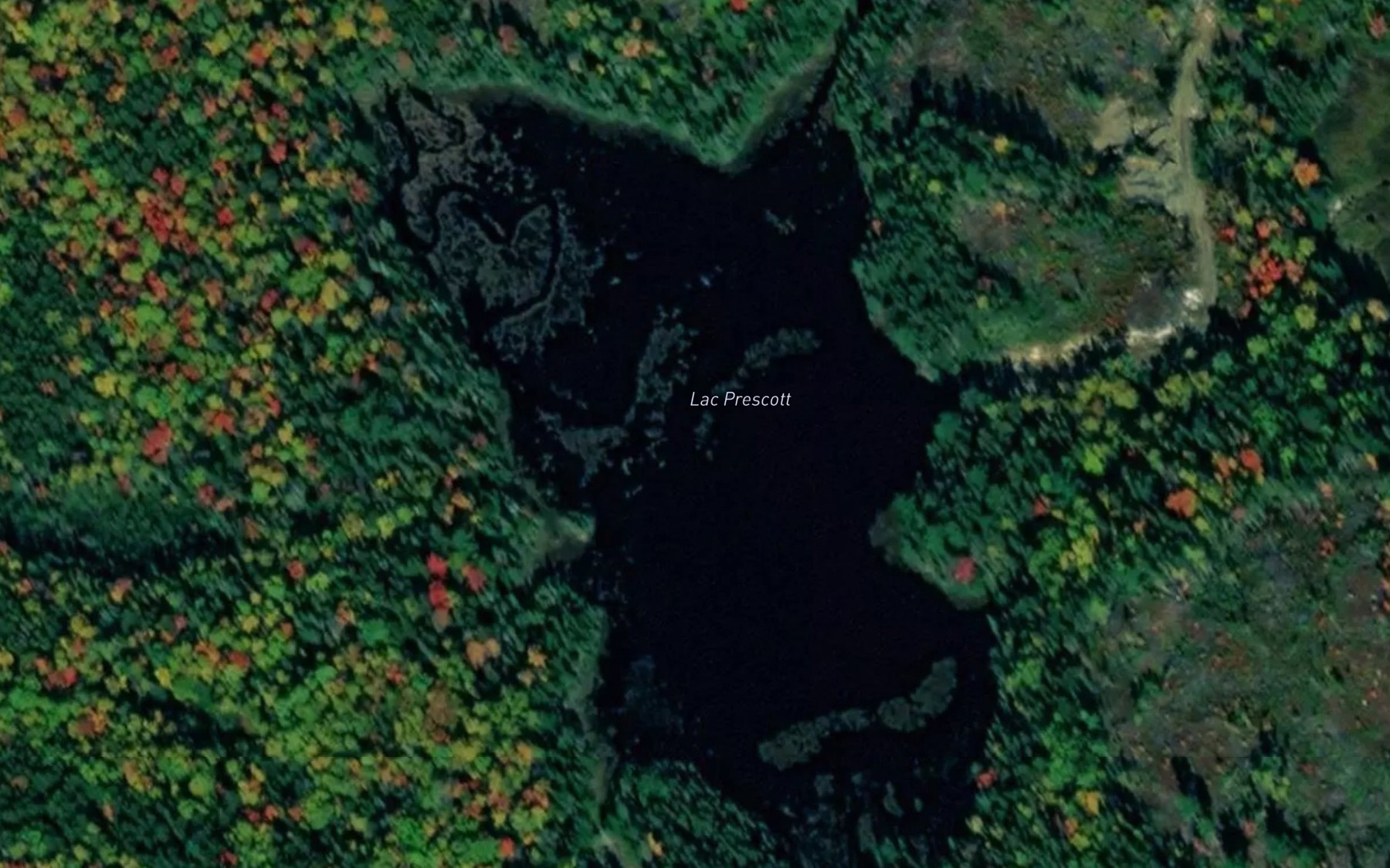 Satellite map of the Lac Prescott