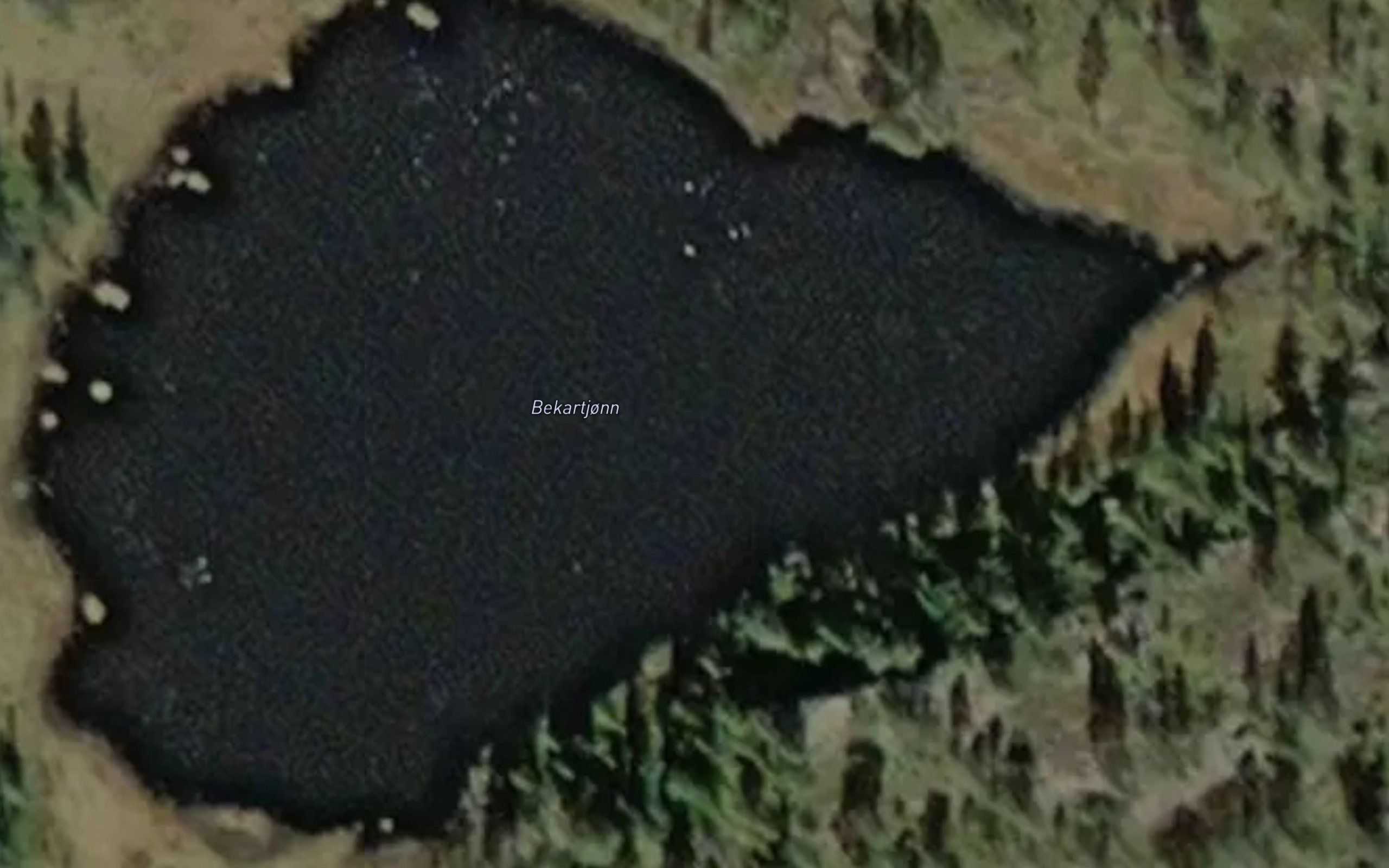 Bekartjonn