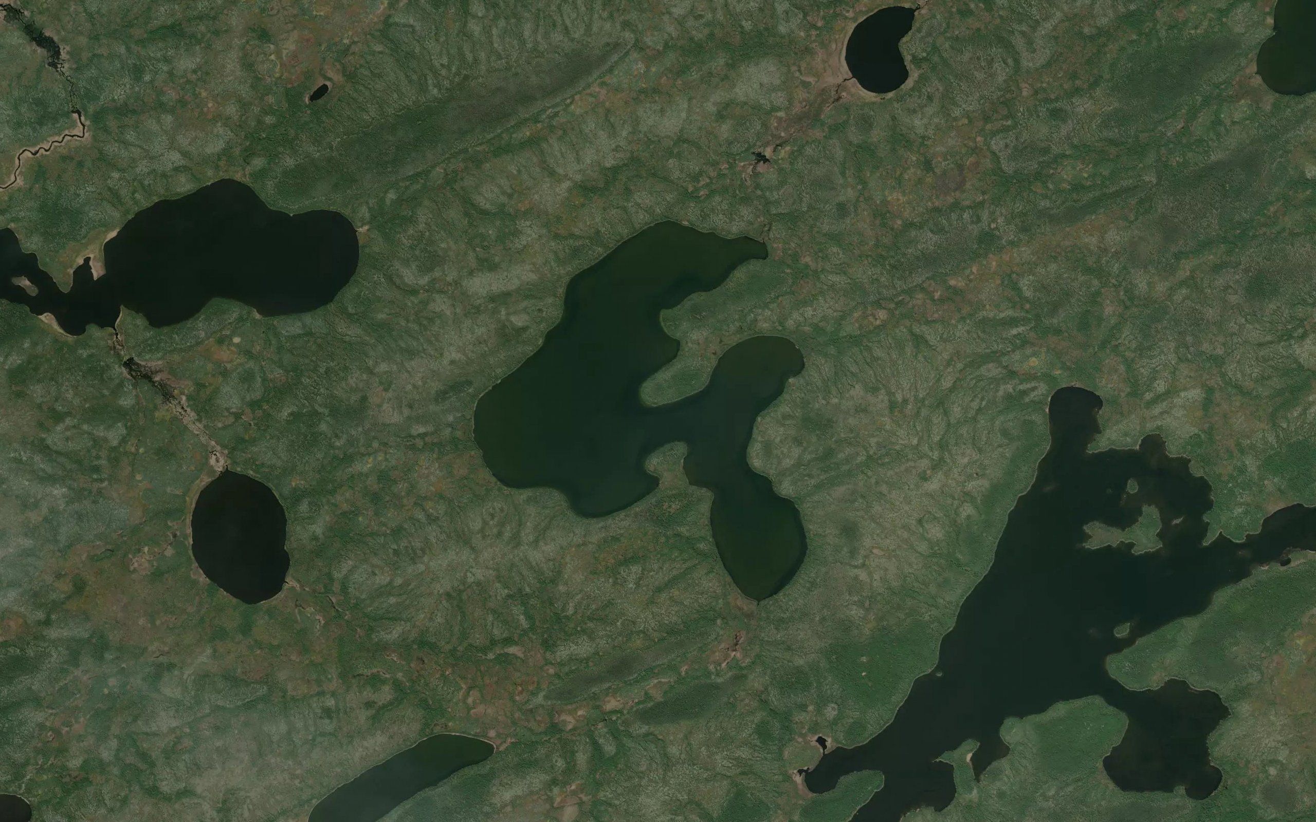 Venier Lake