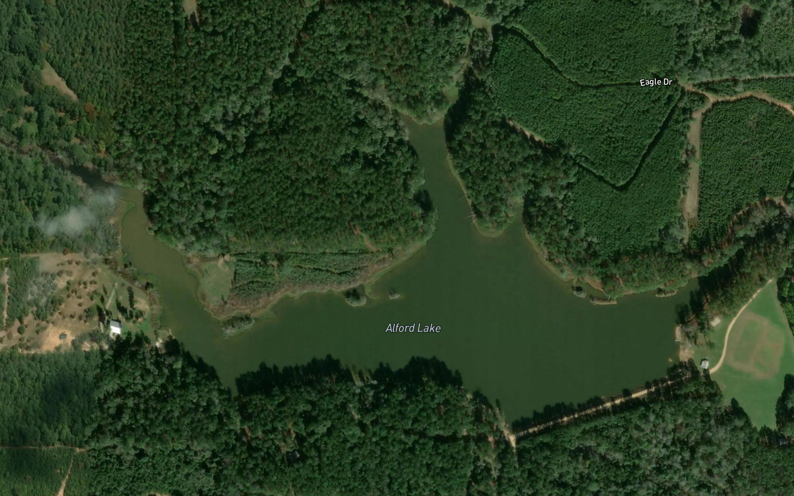 Alford Lake