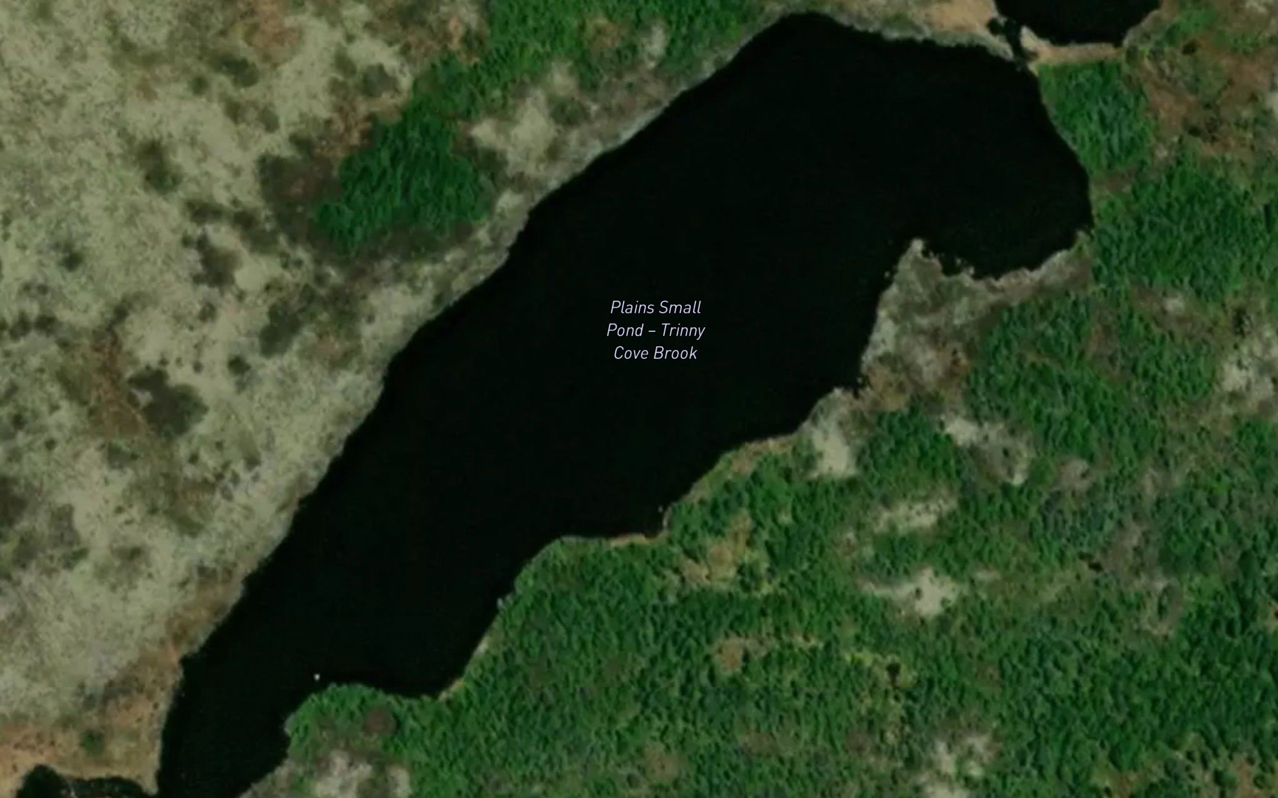 Plains Small Pond