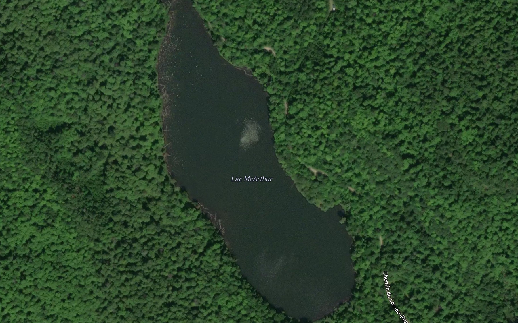Satellite map of the Lac McArthur