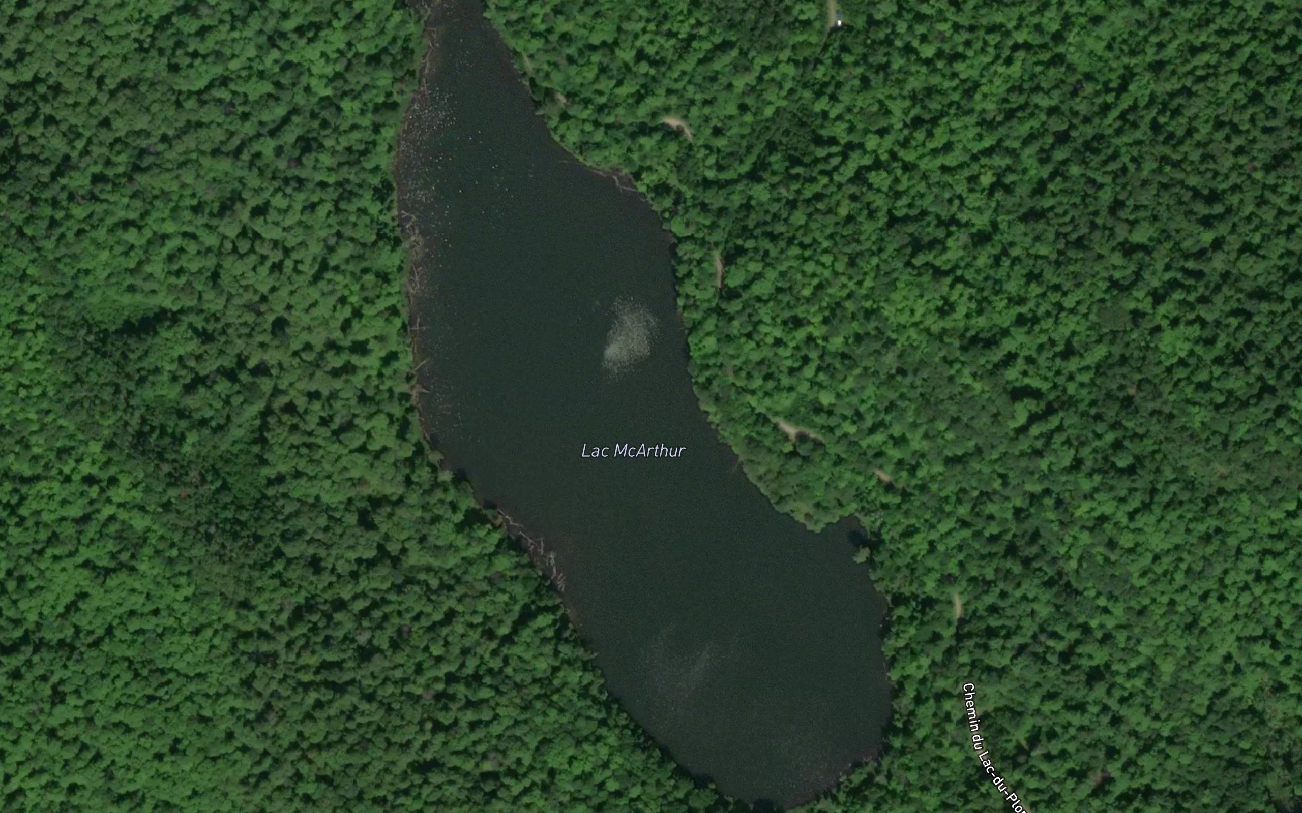 Lac McArthur
