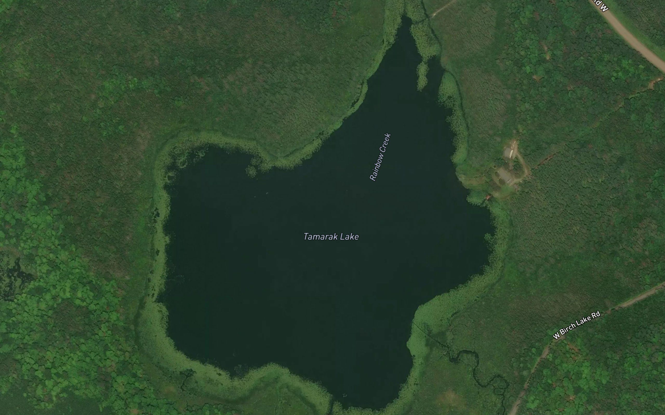 Tamarack Lake
