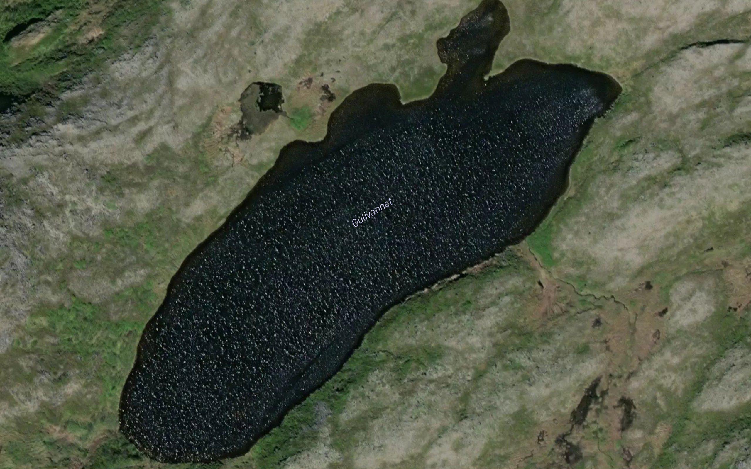 Gulivatnet