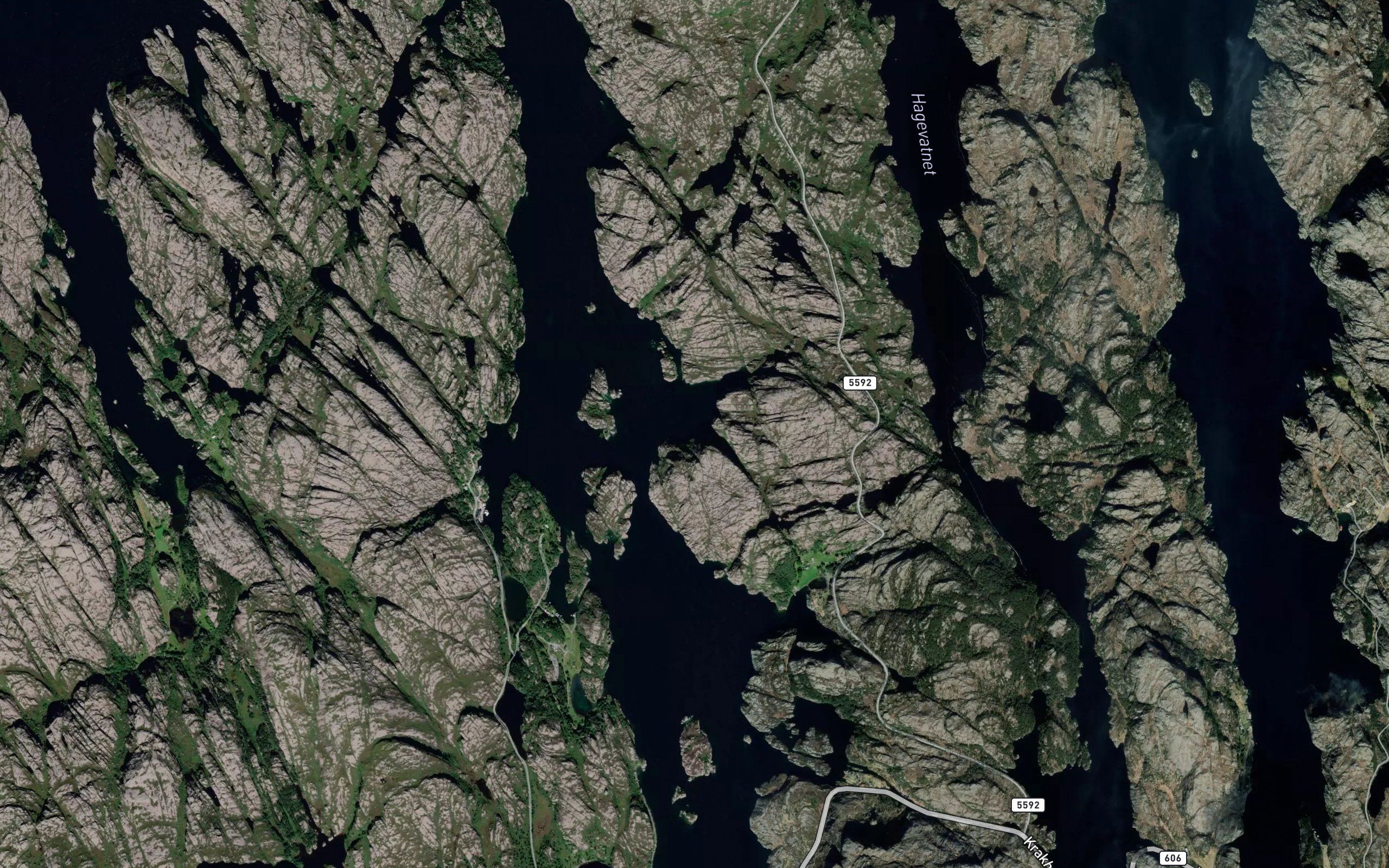 Naustvika