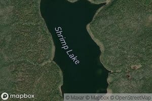 Shrimp Lake