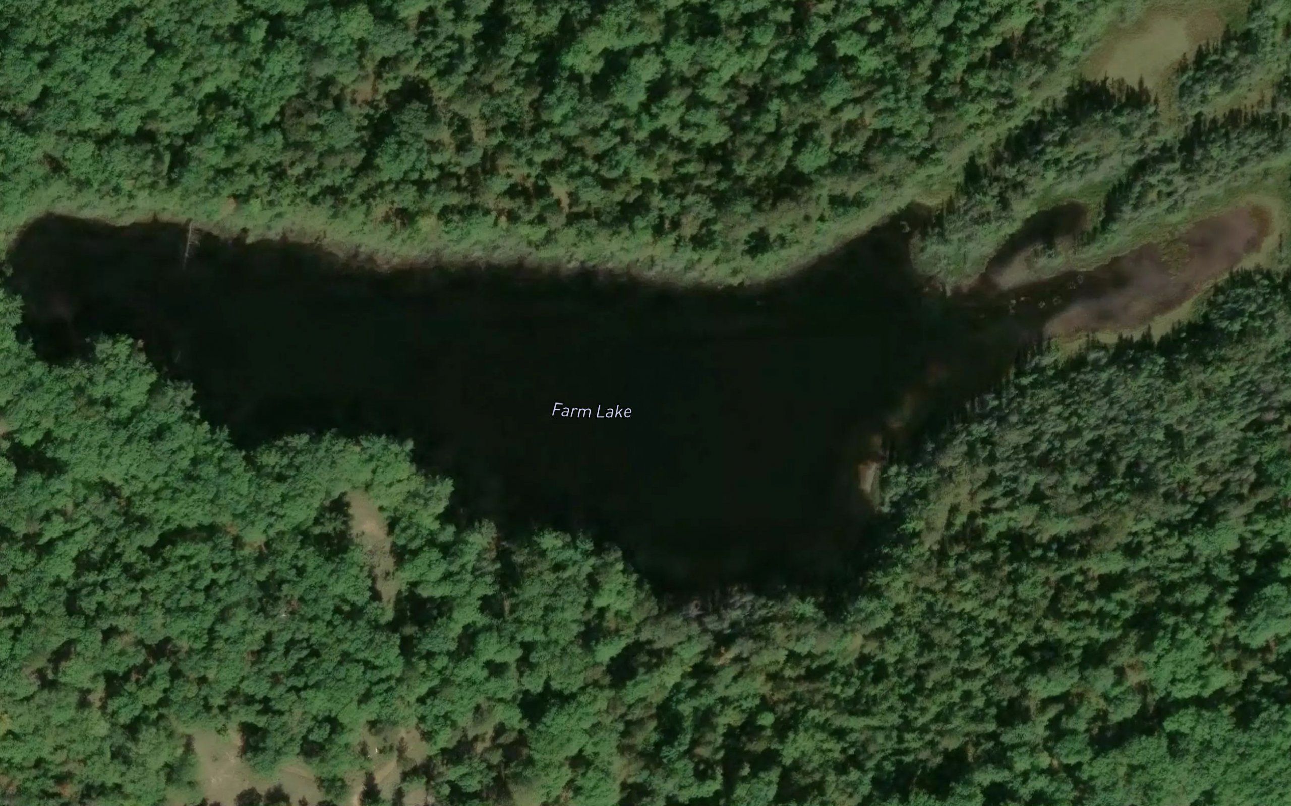 Farm Lake