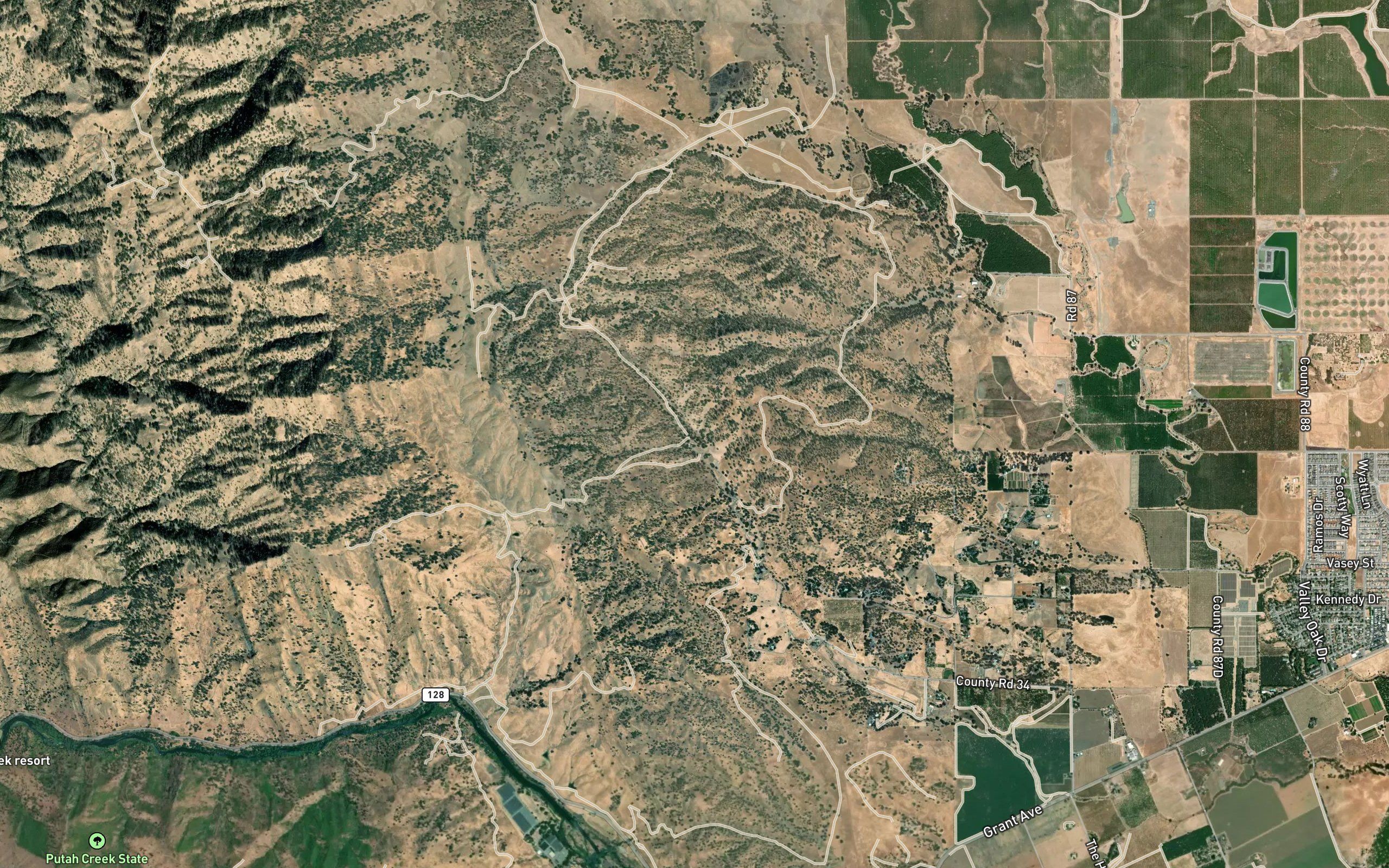 Grapevine Spring