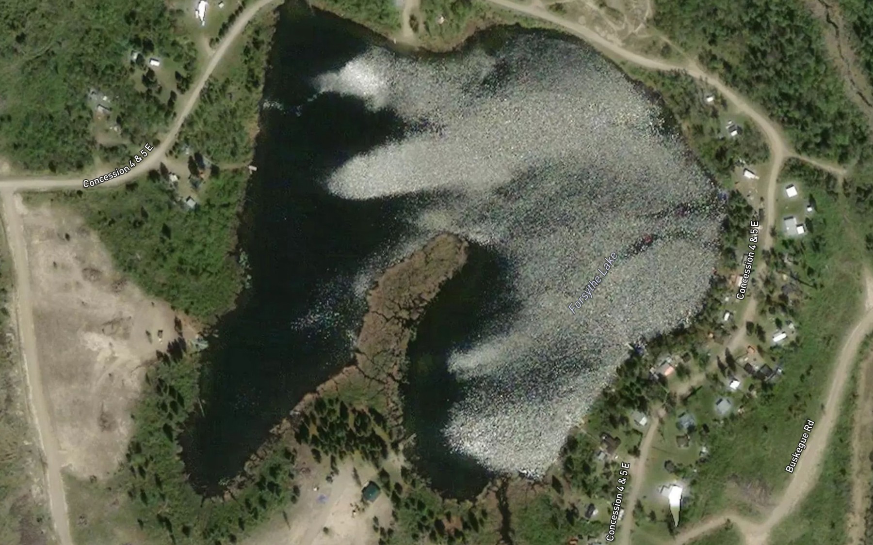 Satellite map of the Forsythe Lake