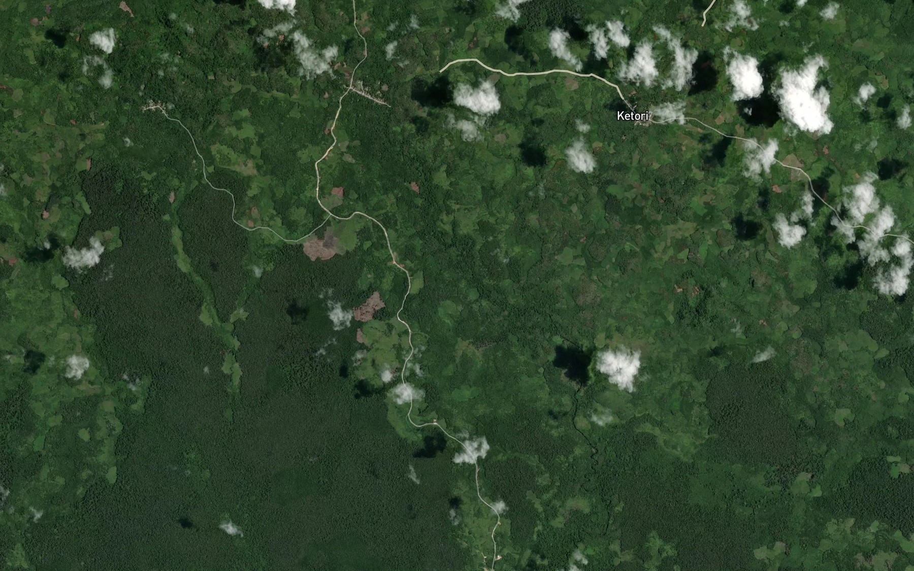 Satellite map of the Sungai Selabau