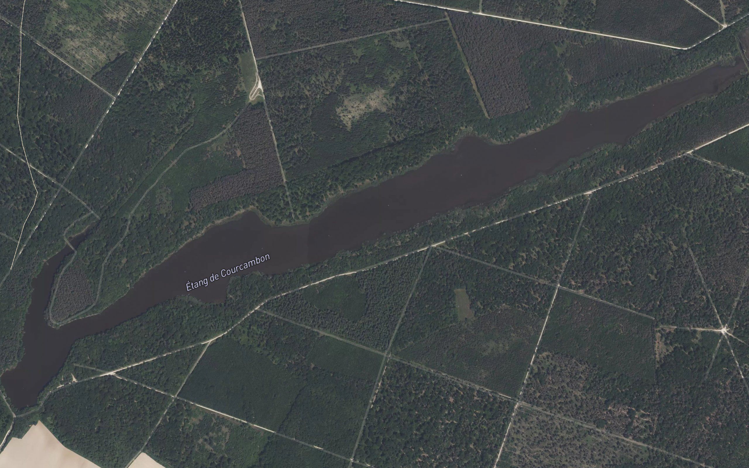 Etang de Corcambon