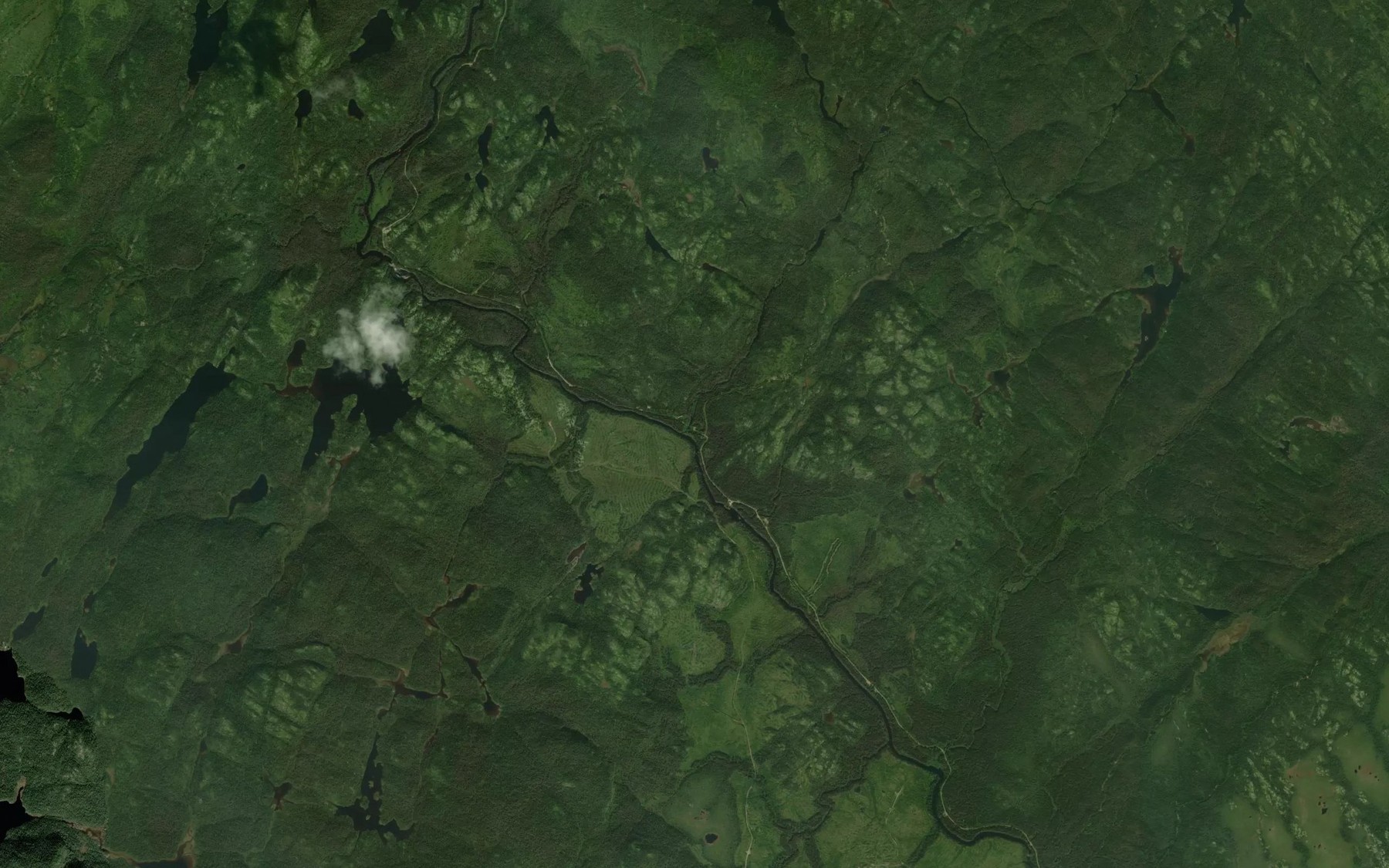 Satellite map of the Crique Paul