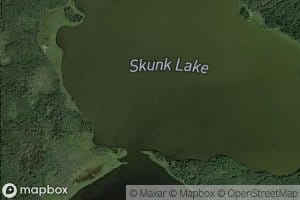 Skunk Lake