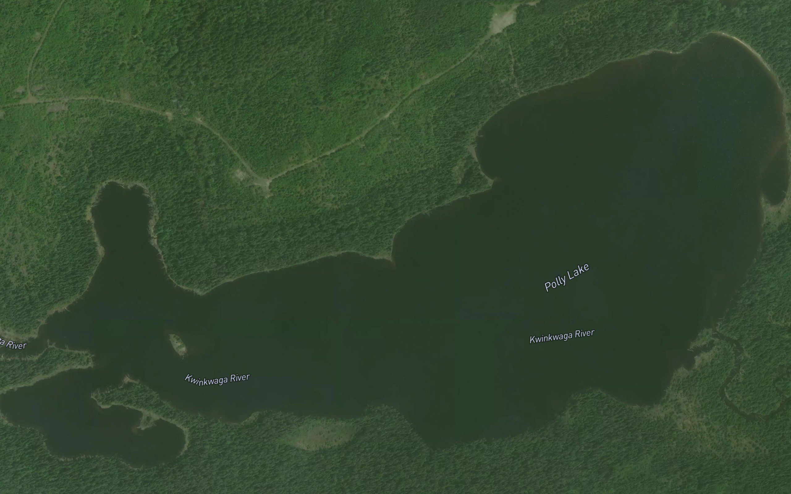 Polly Lake