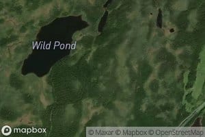 Wild Pond
