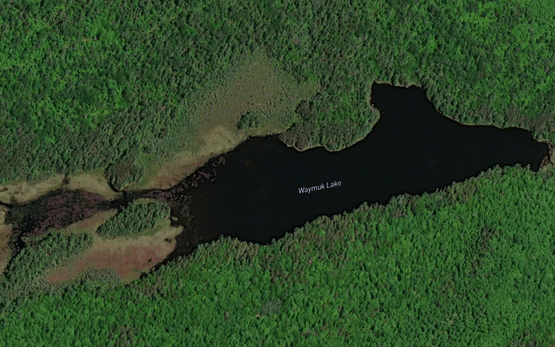 Satellite map of the Waymuk Lake