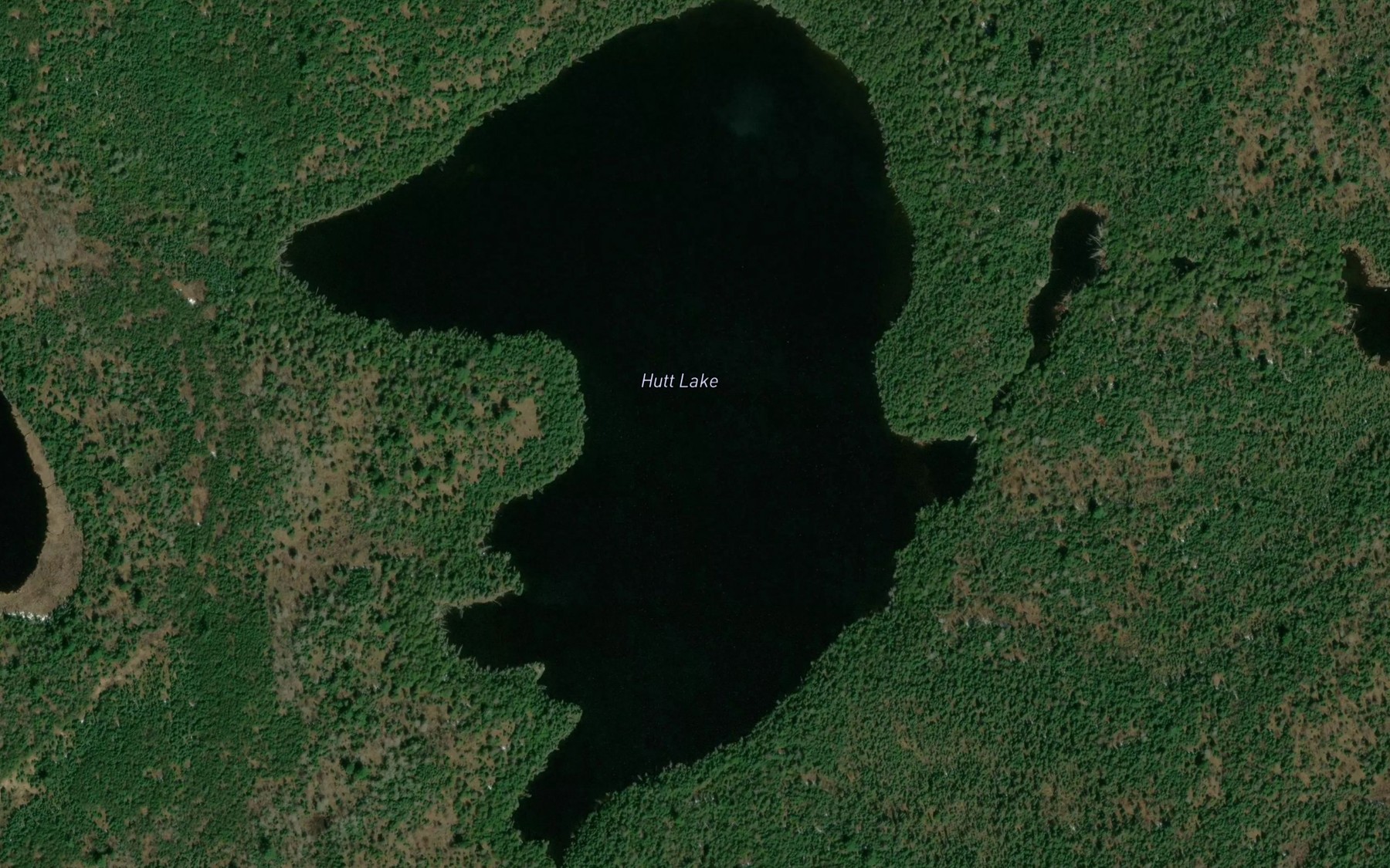 Satellite map of the Hutt Lake