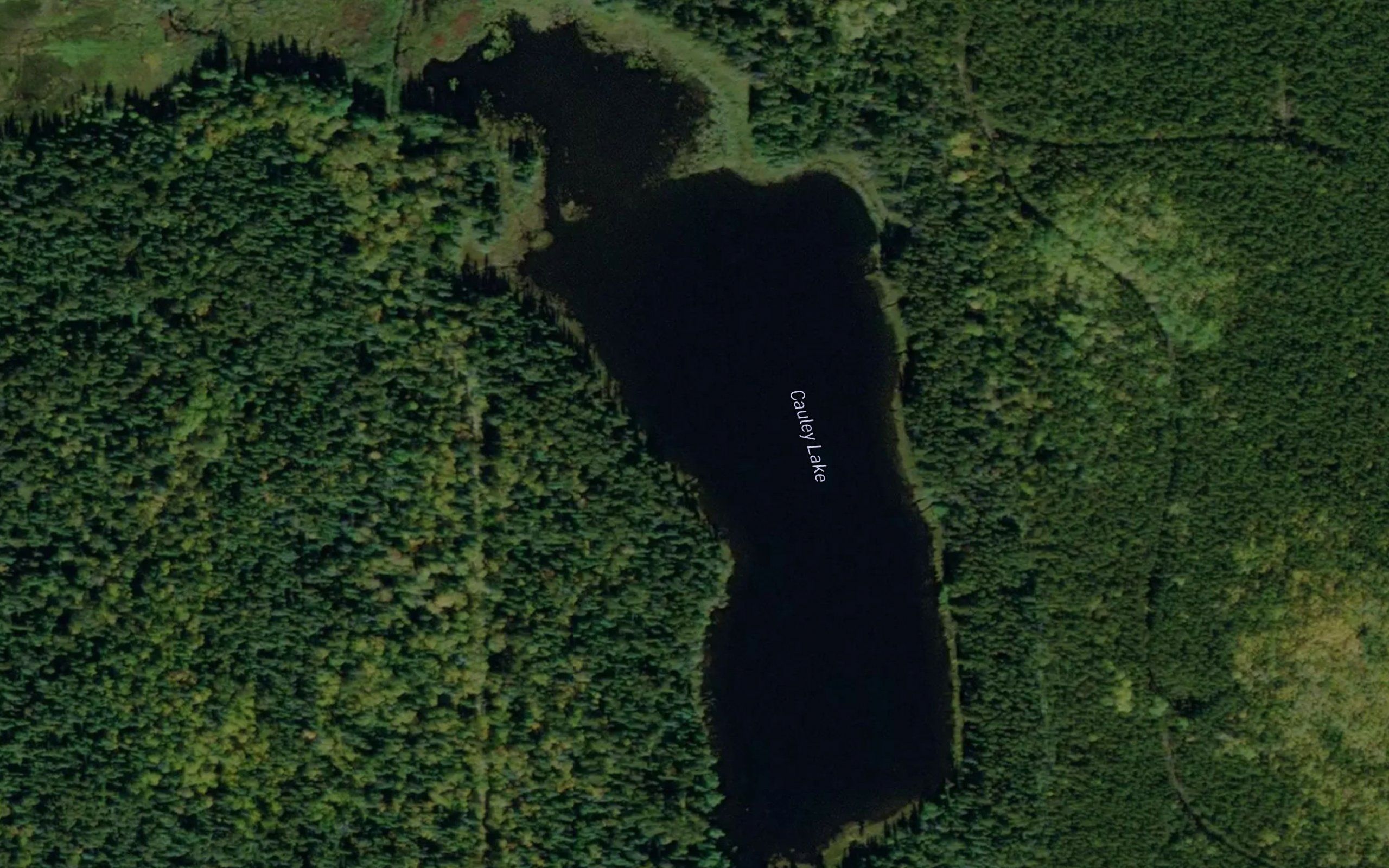 Cauley Lake