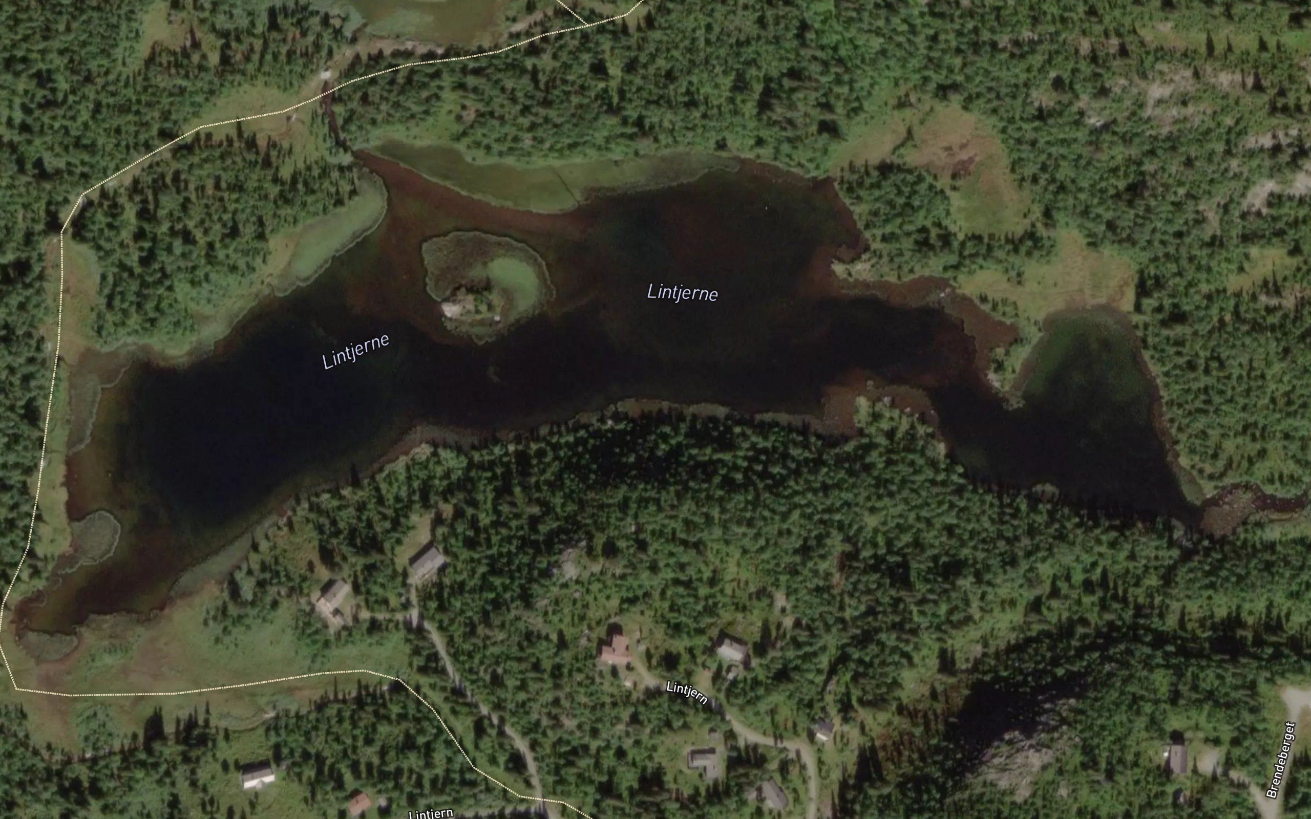 Lintjern