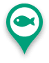fish pin