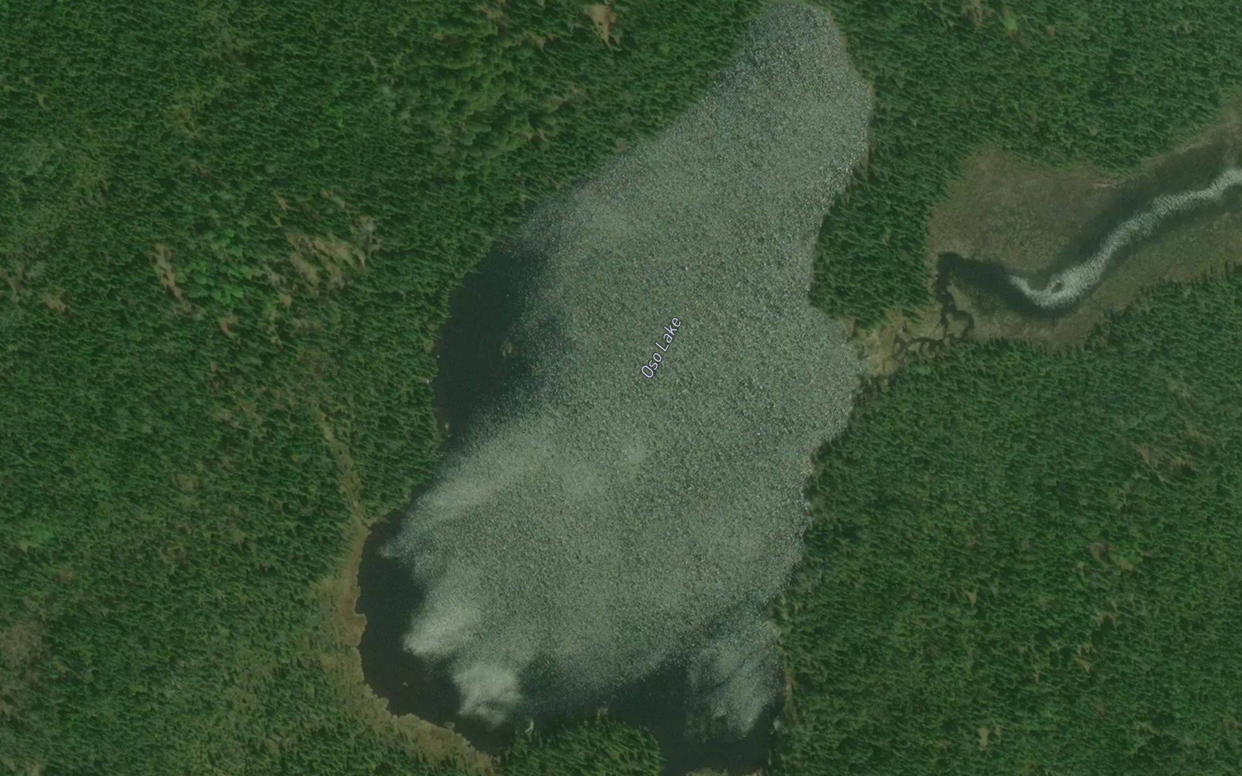 Oso Lake