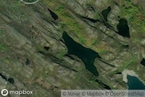 Langtjonna