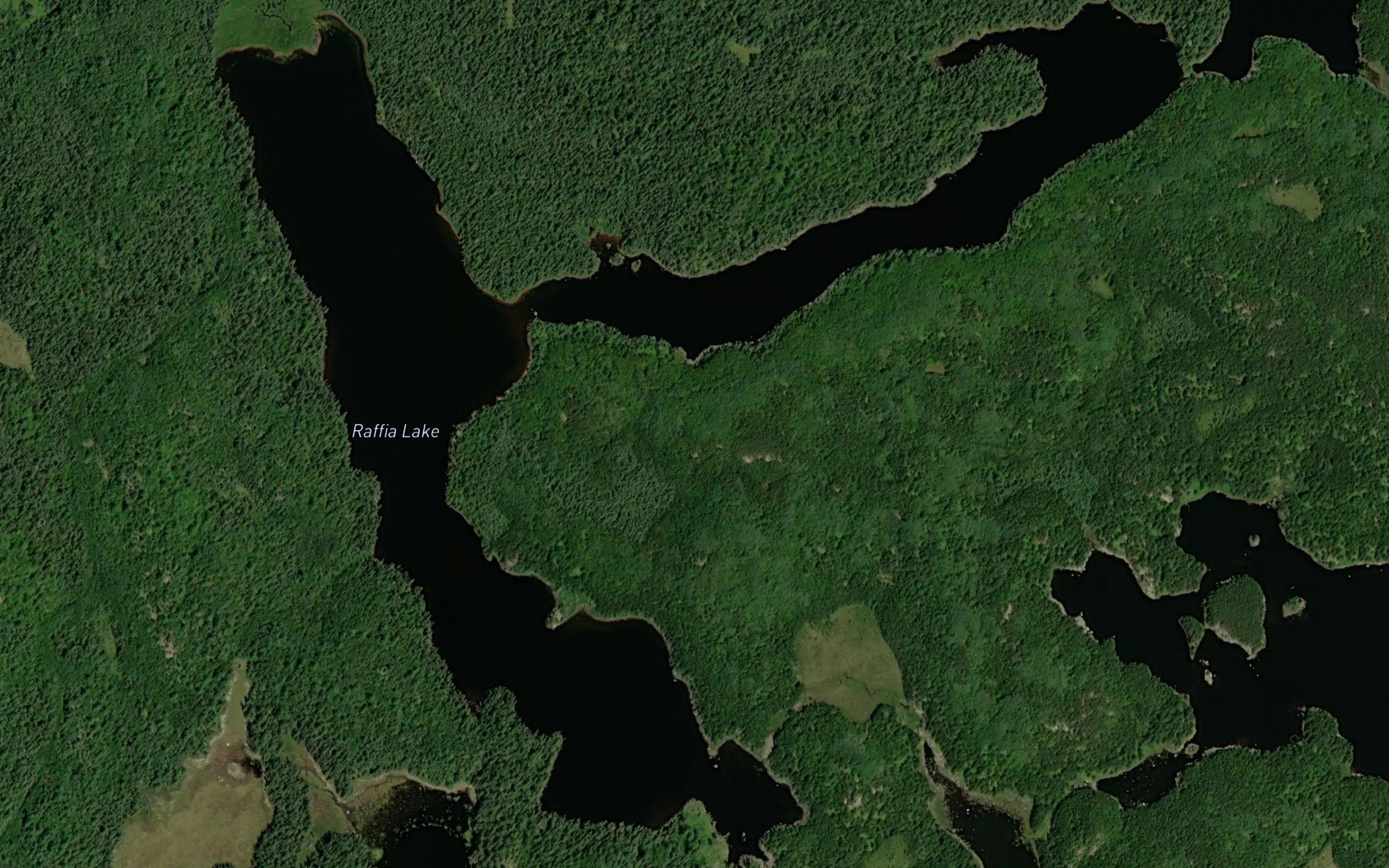 Raffia Lake