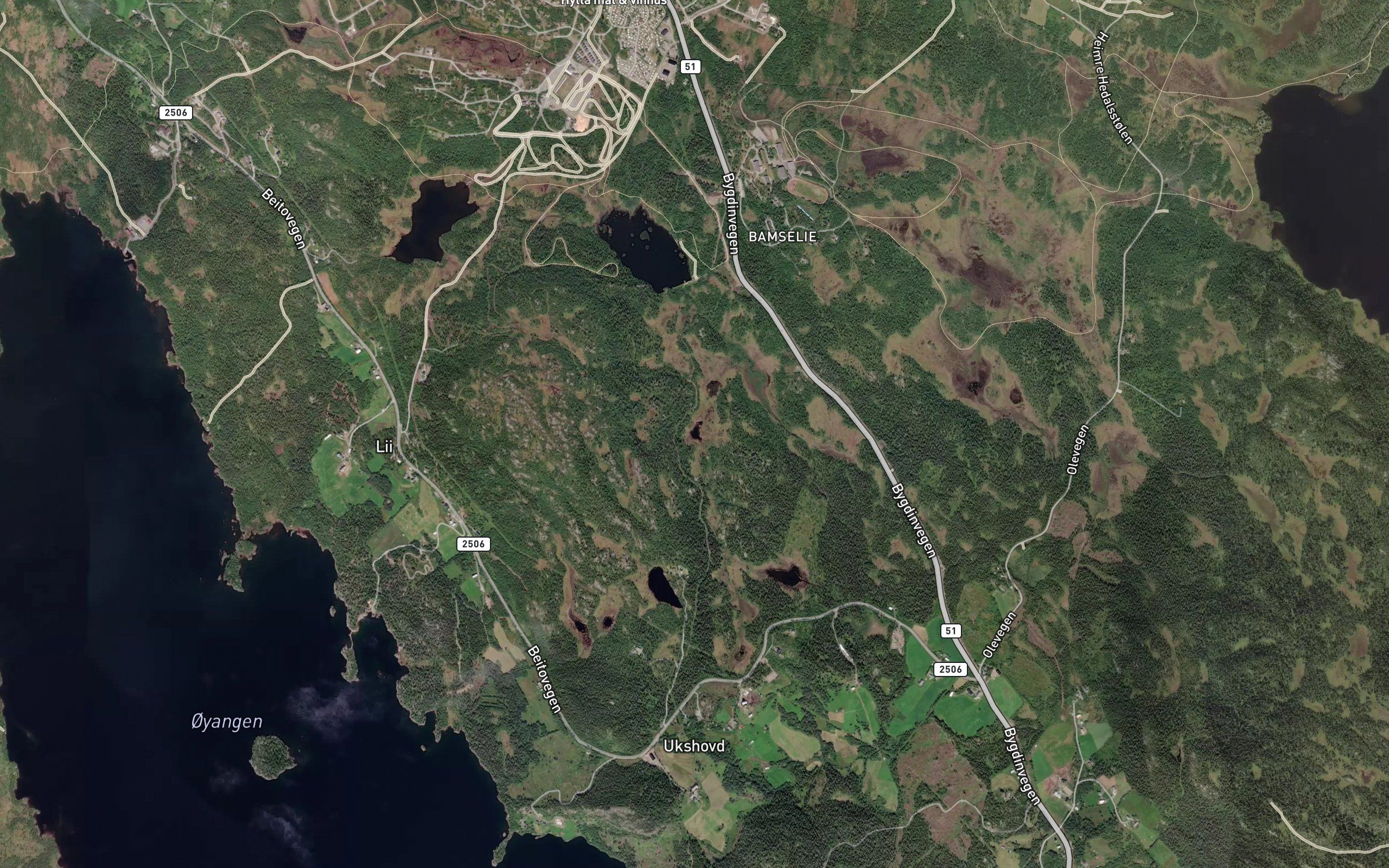Saltetjednet